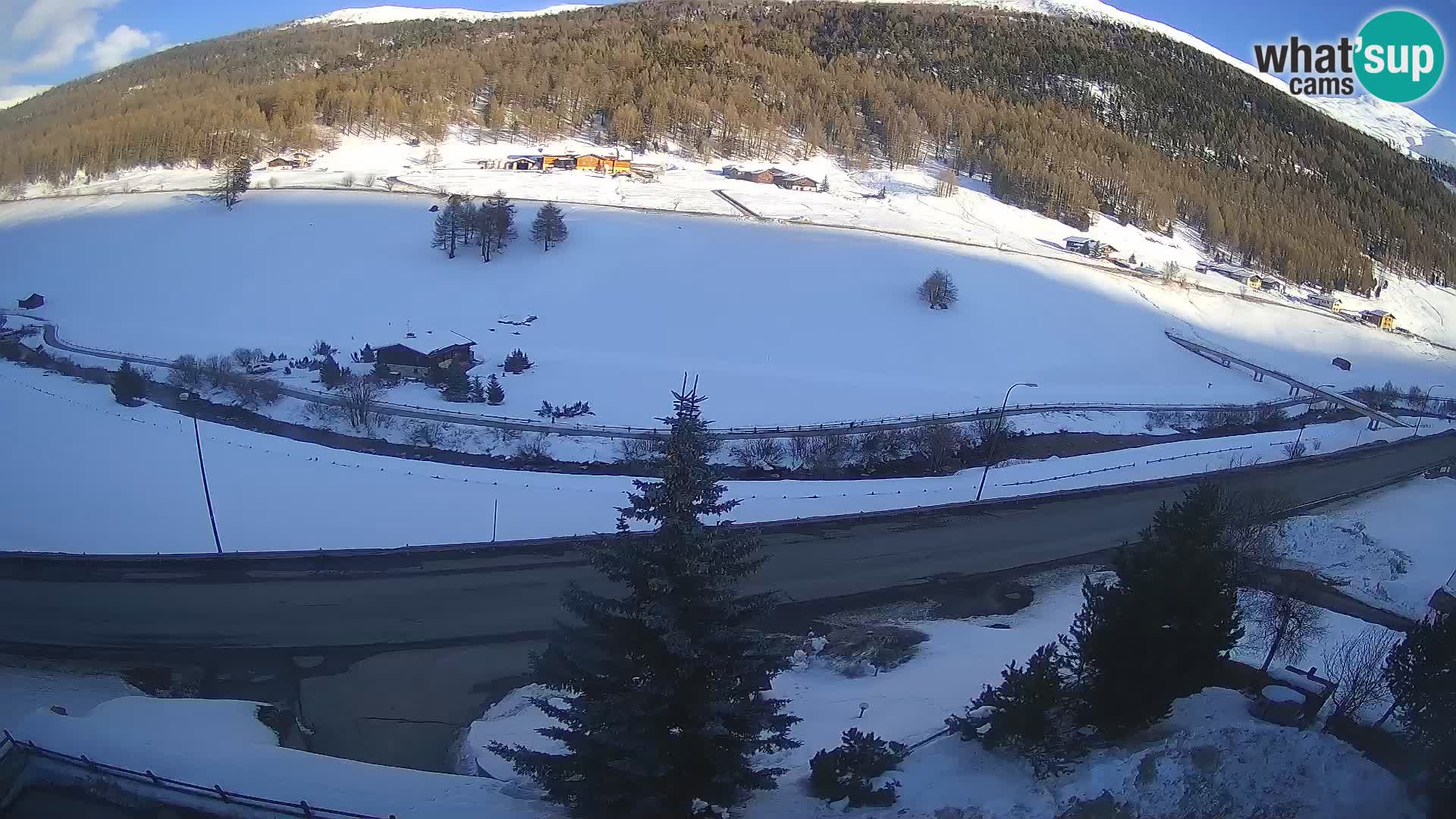 Webcam Livigno Hotel Primula