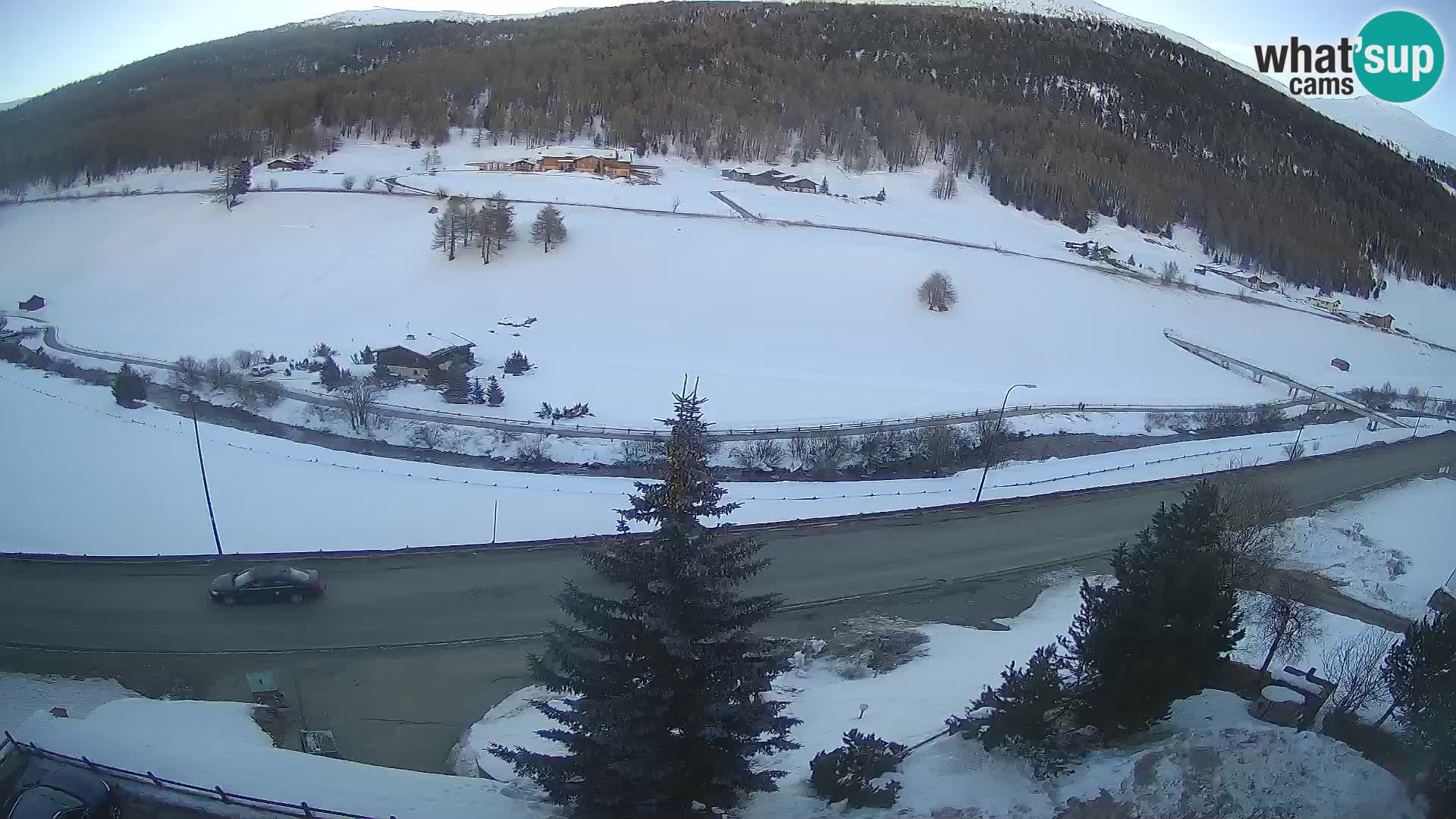 Livigno webcam LIVE Hotel Primula