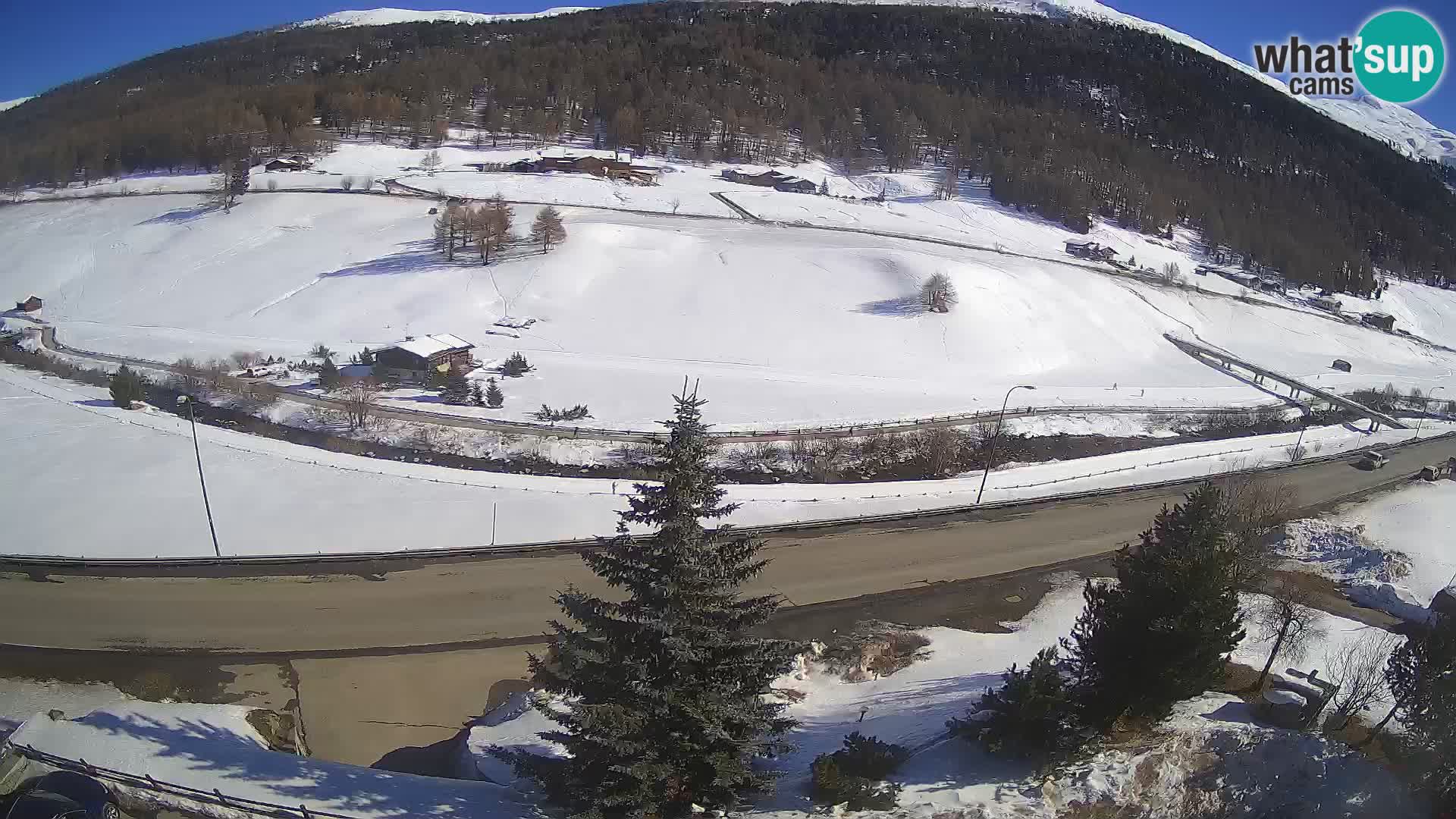 Webcam Livigno Hotel Primula