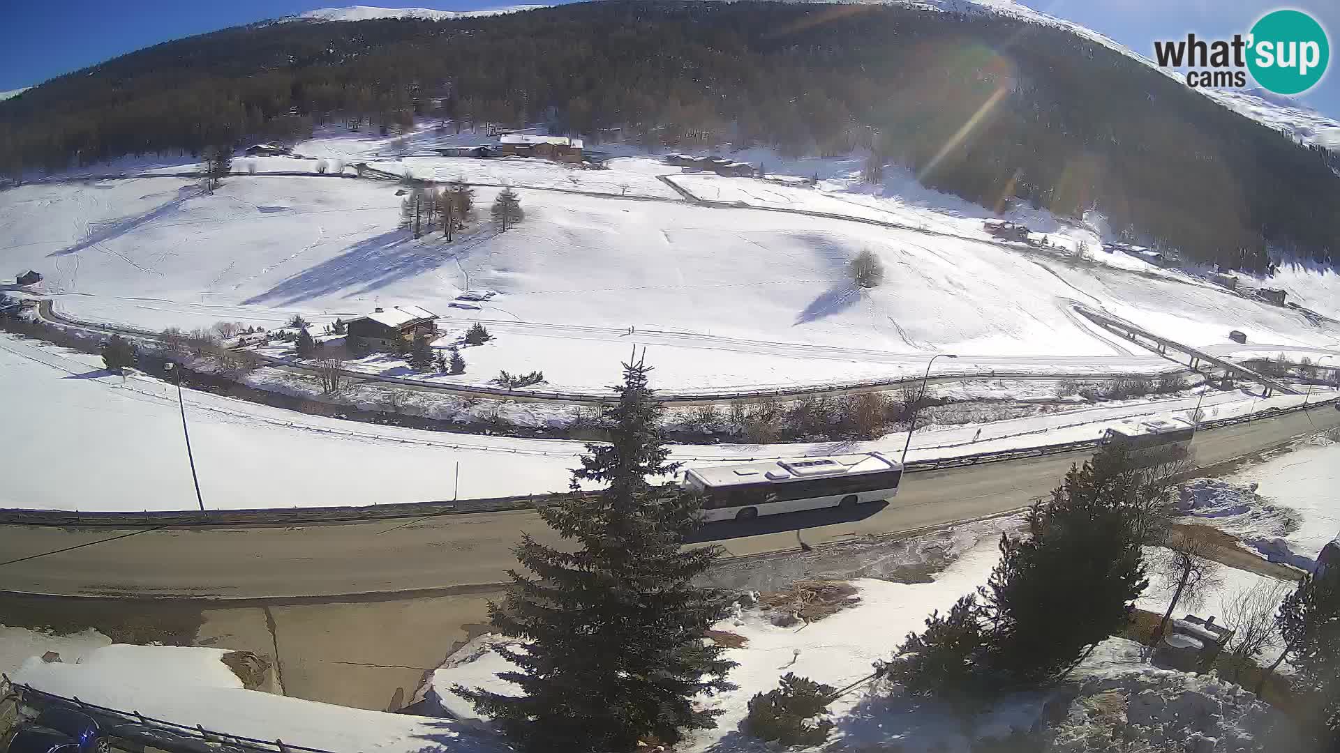 Webcam Livigno Hotel Primula