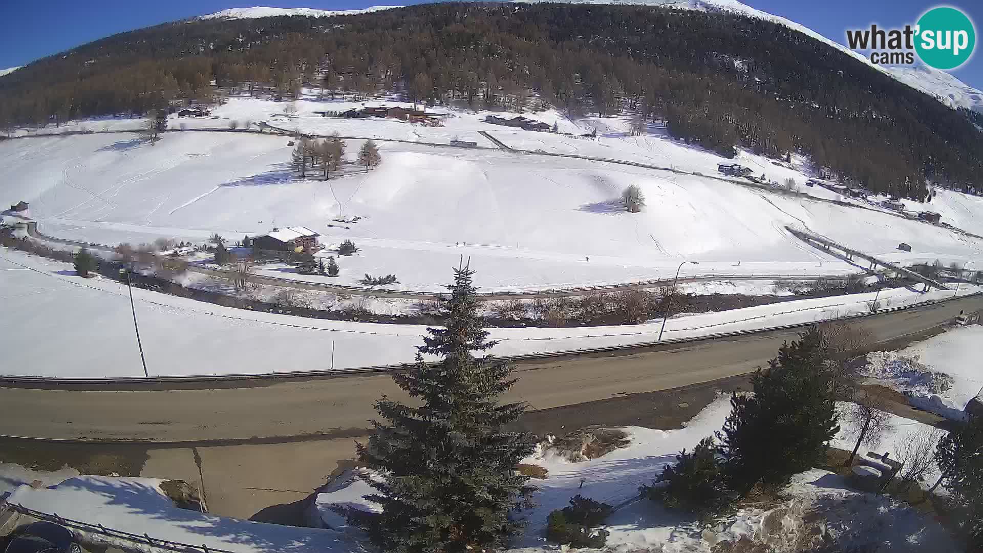 Livigno webcam LIVE Hotel Primula