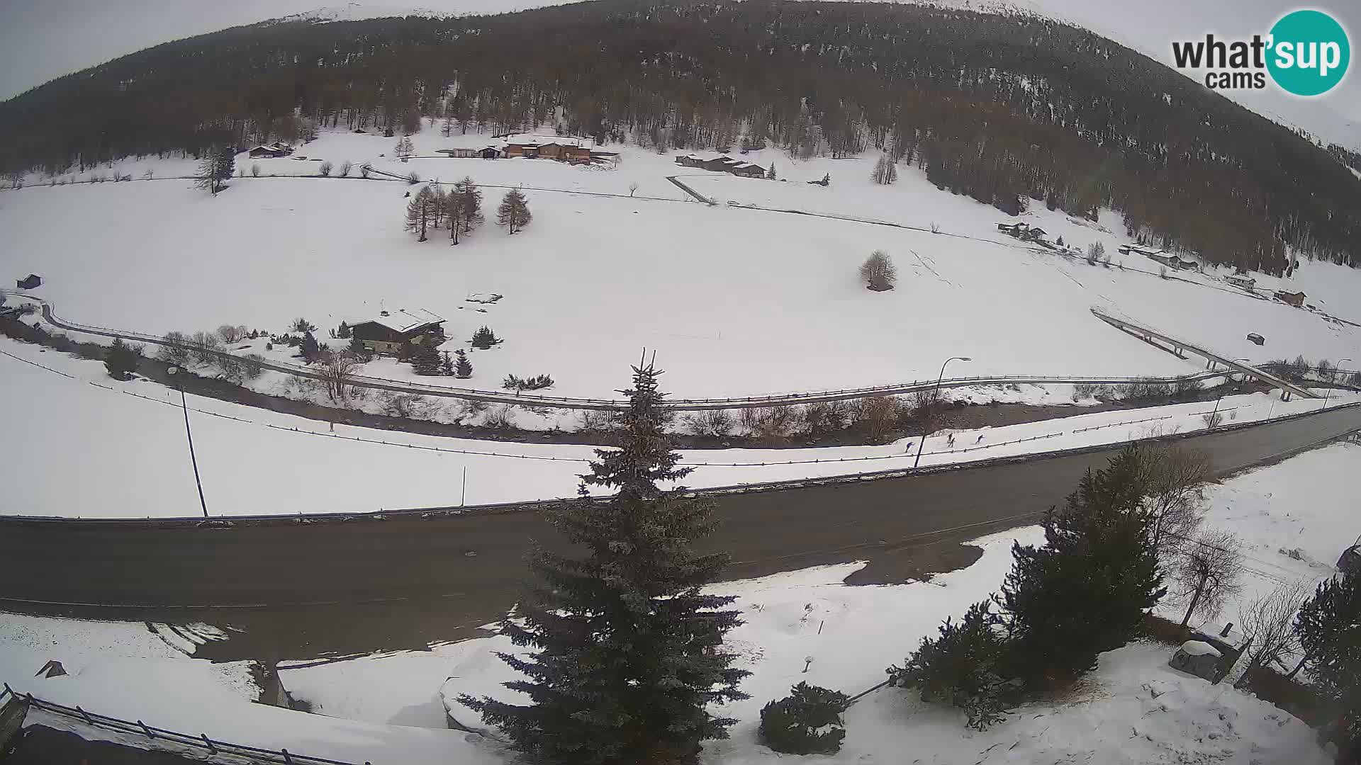 Livigno webcam LIVE Hotel Primula