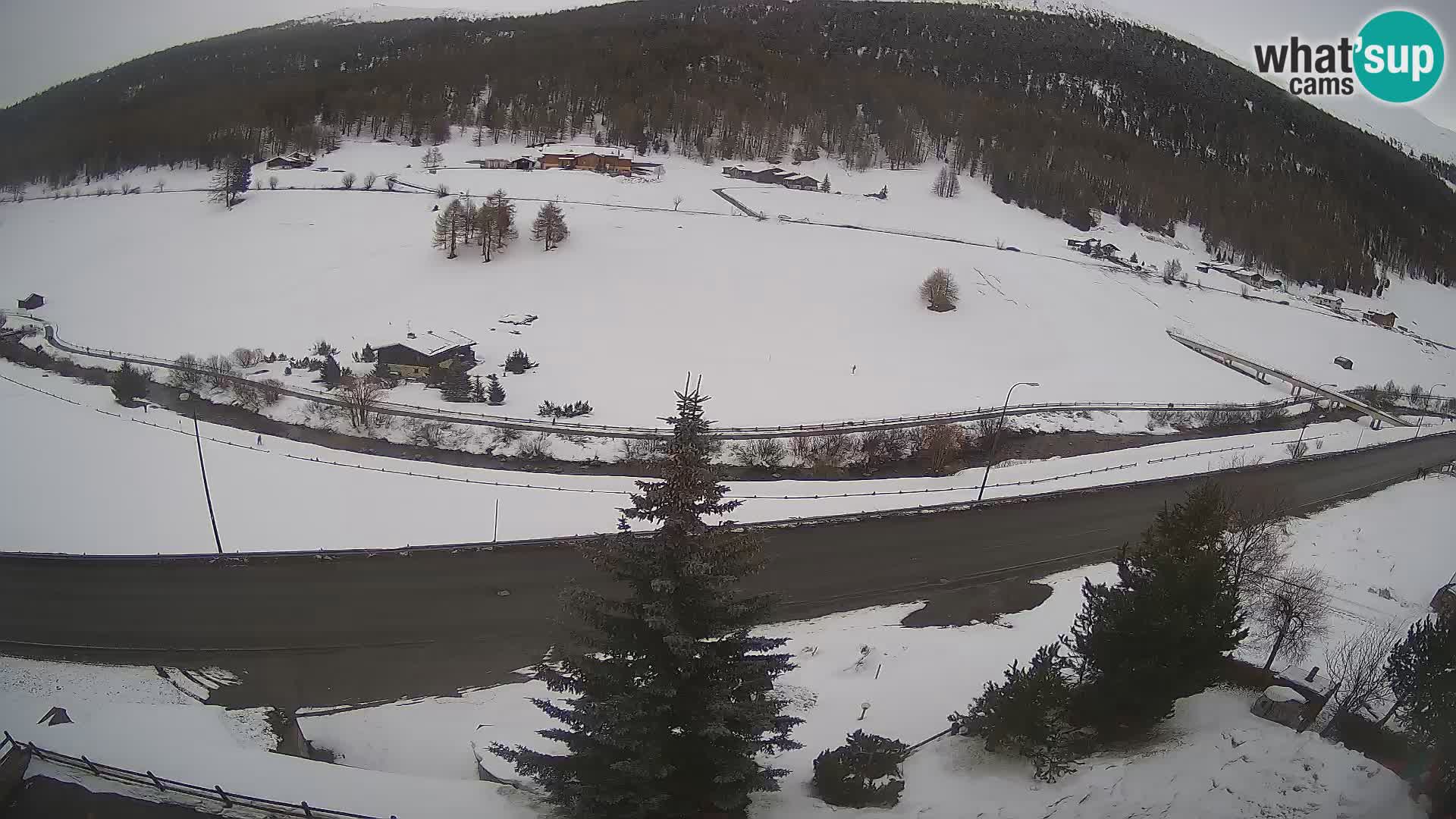 Web Cam Livigno | Hotel Primula