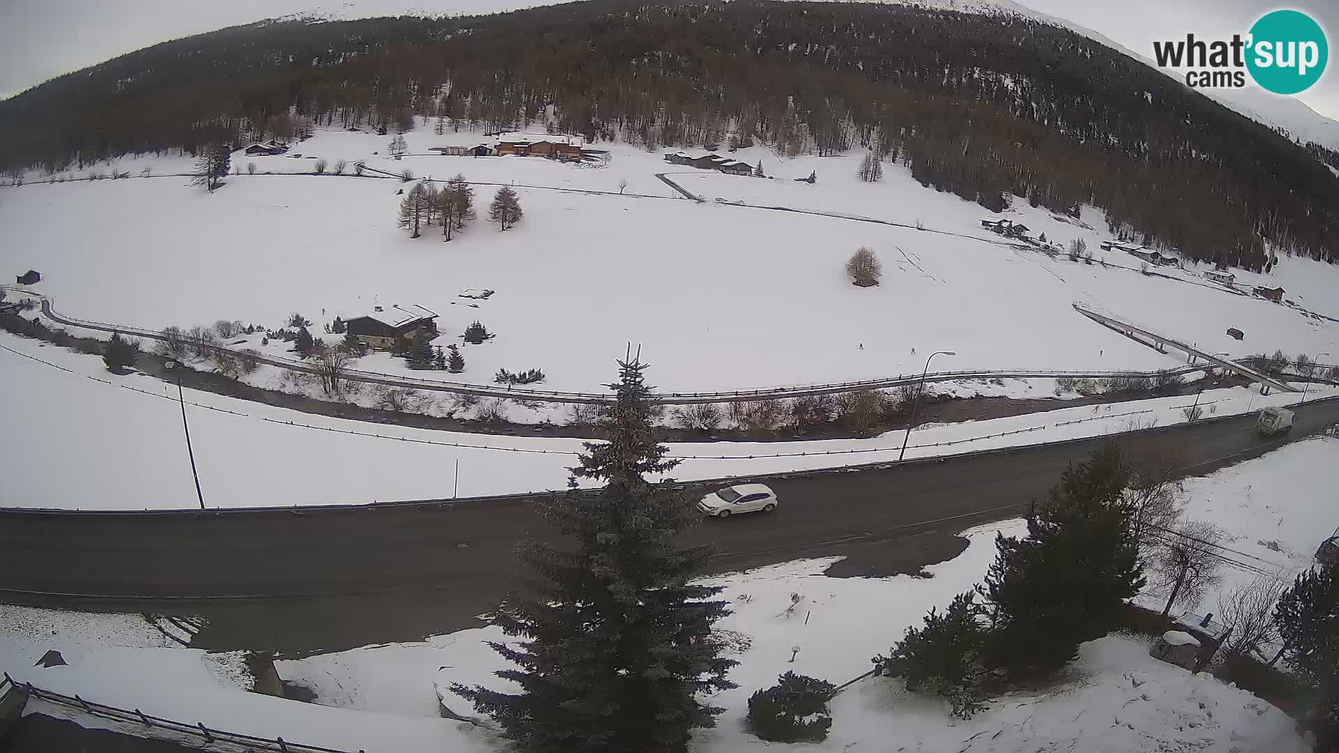 Livigno webcam LIVE Hotel Primula