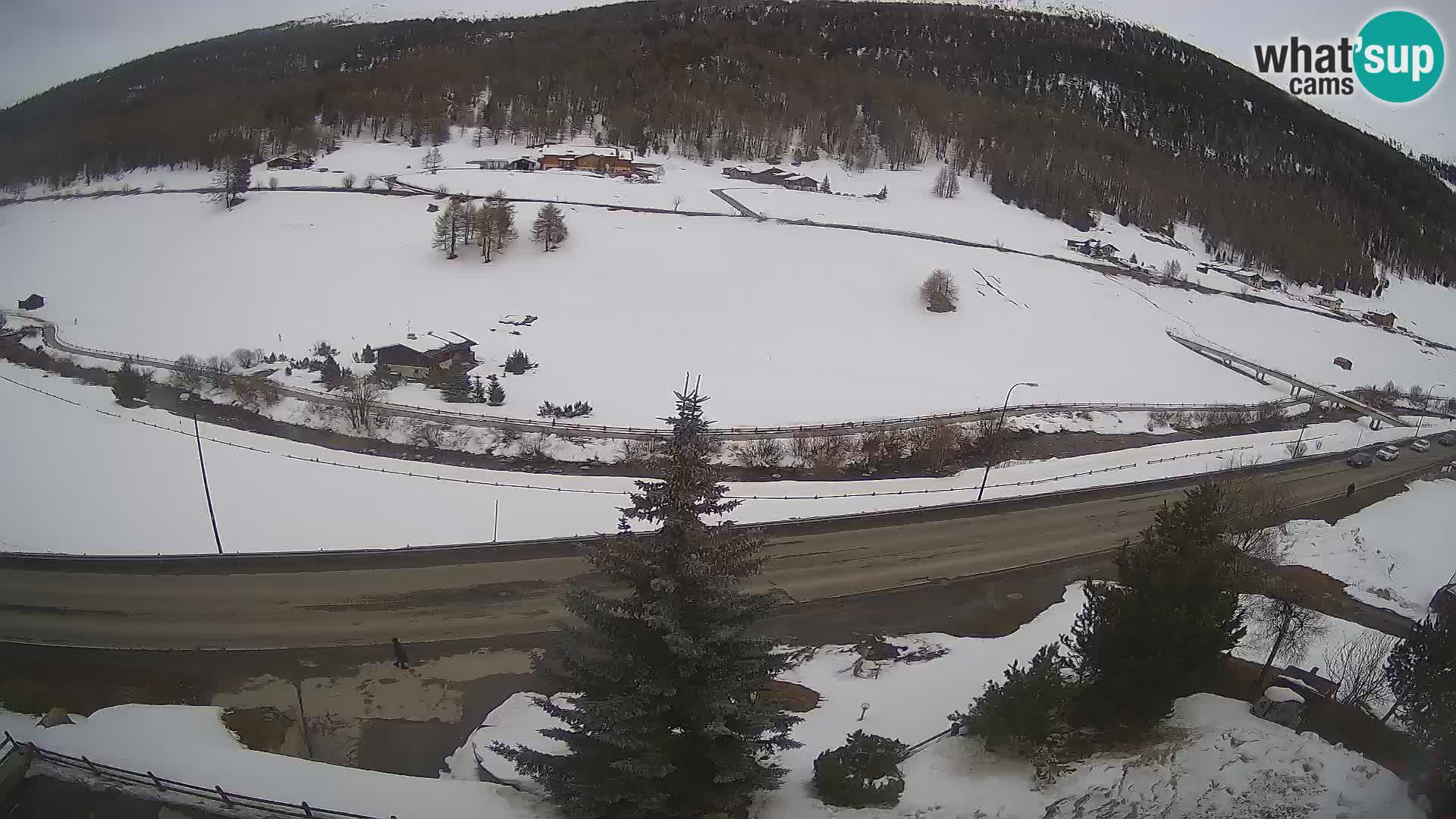 Livigno webcam LIVE Hotel Primula