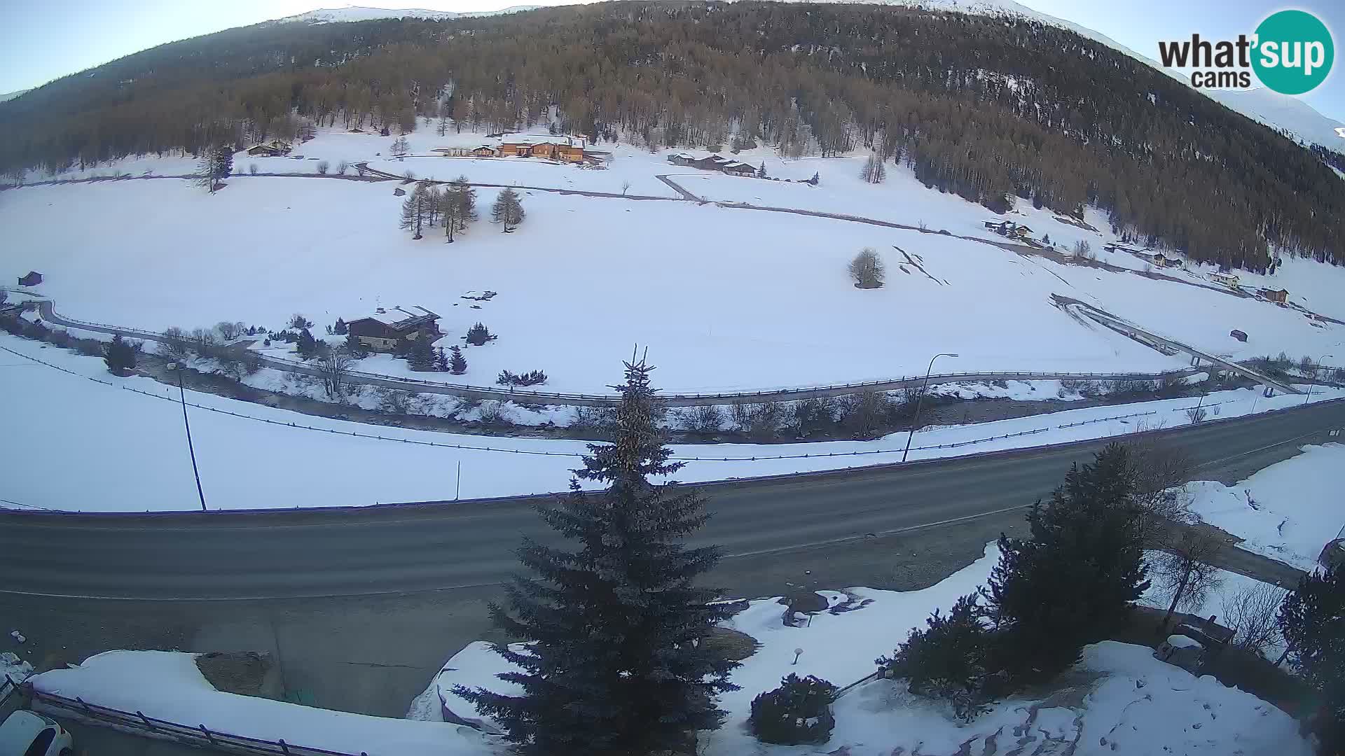 Livigno webcam LIVE Hotel Primula