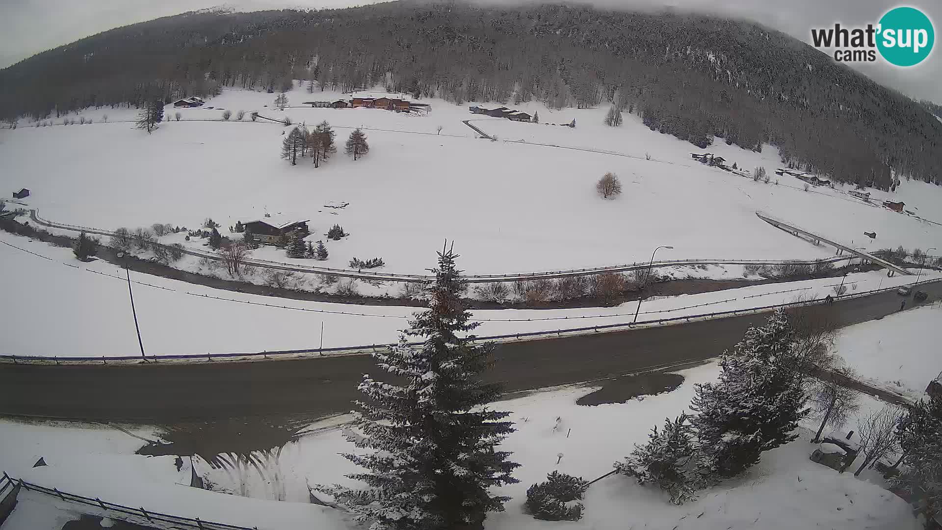 Web Cam Livigno | Hotel Primula