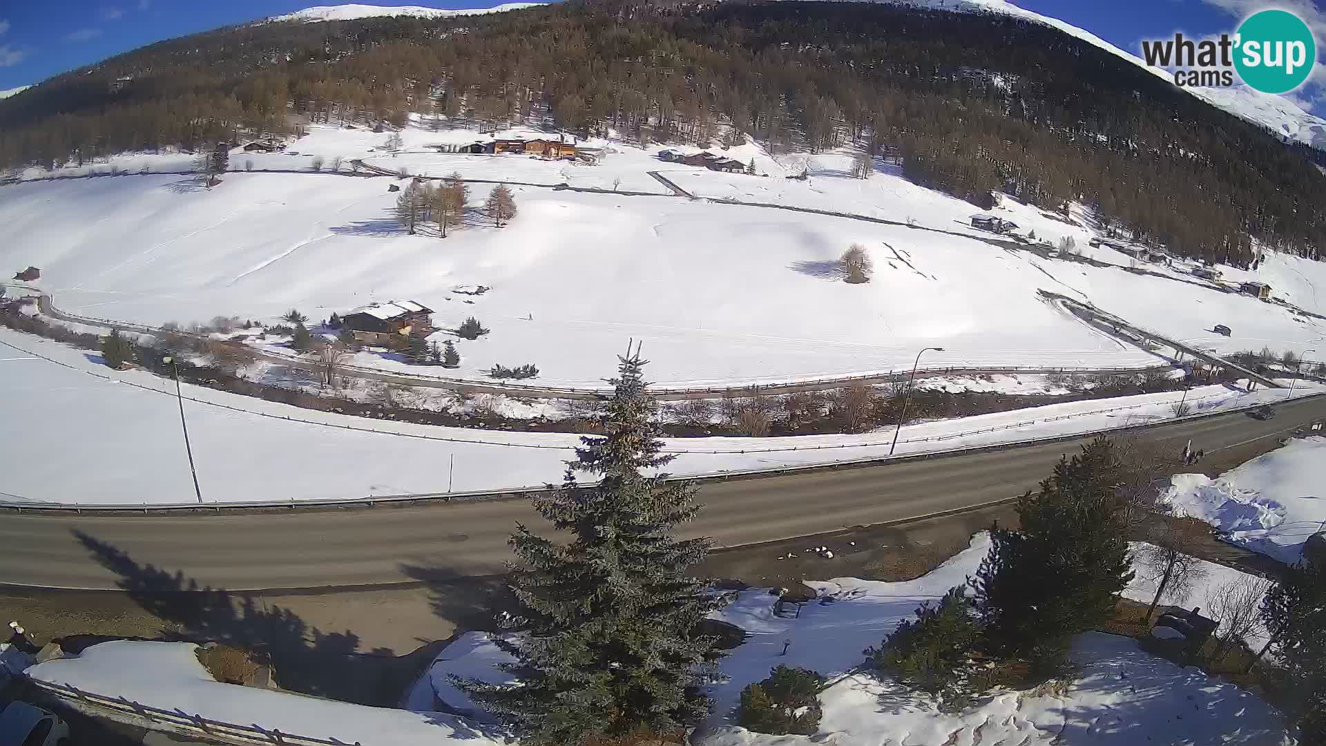 Livigno webcam LIVE Hotel Primula