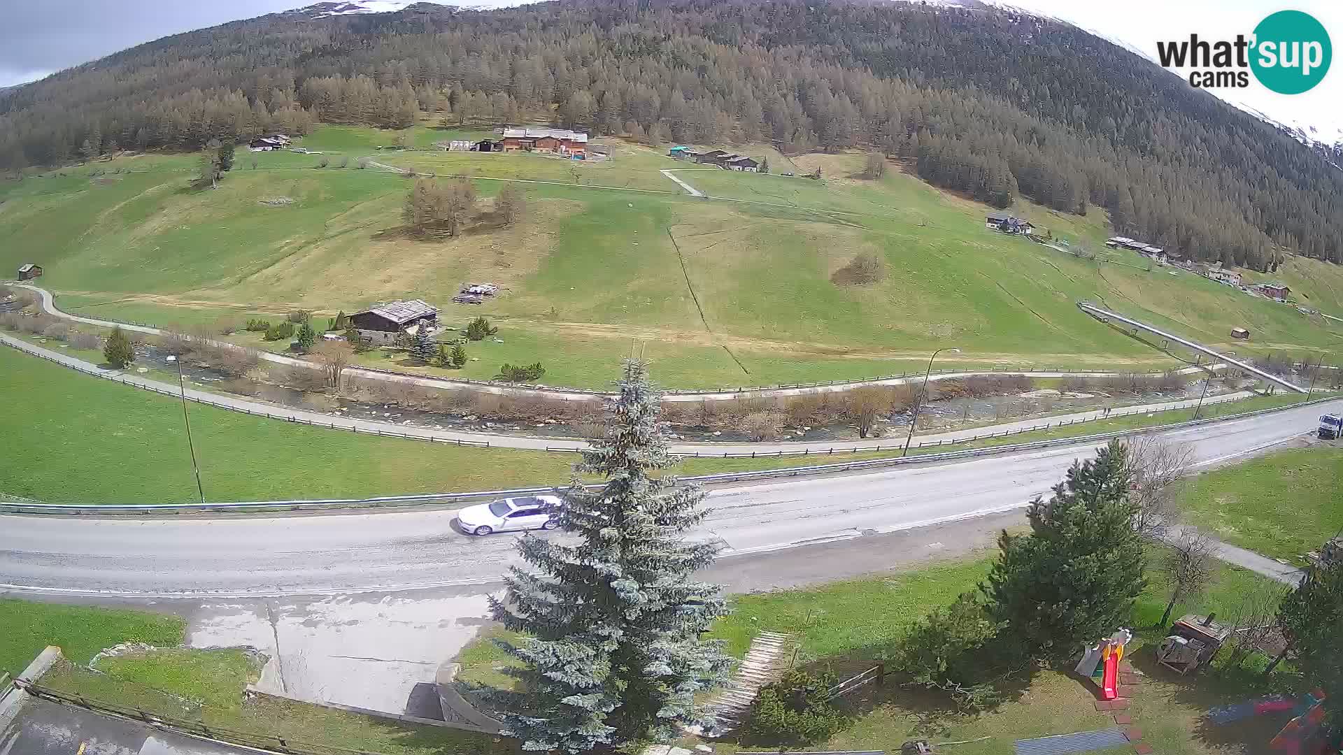Livigno Cam Hotel Primula | Livigno smučišče