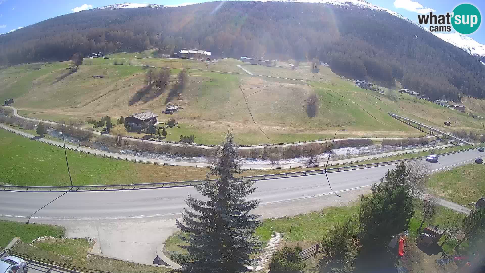 Livigno Cam Hotel Primula | Livigno smučišče