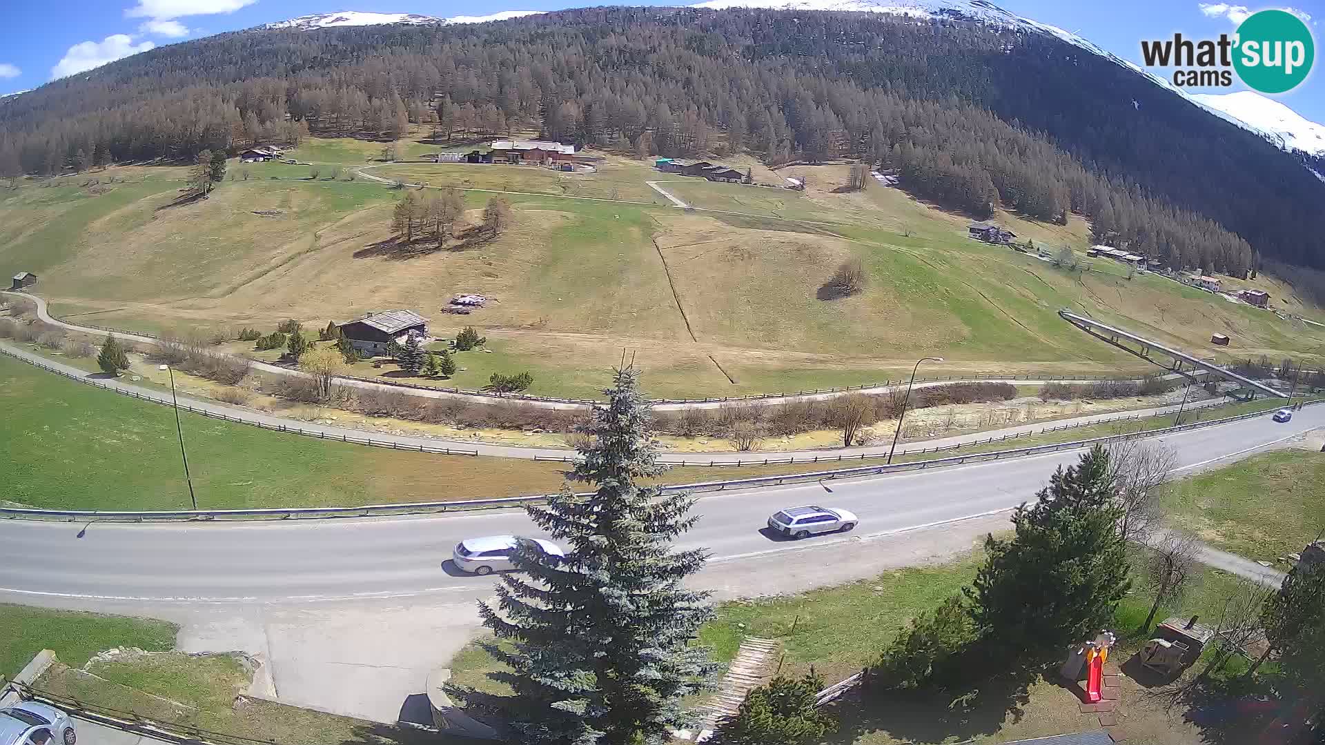 Livigno Cam Hotel Primula | Livigno smučišče