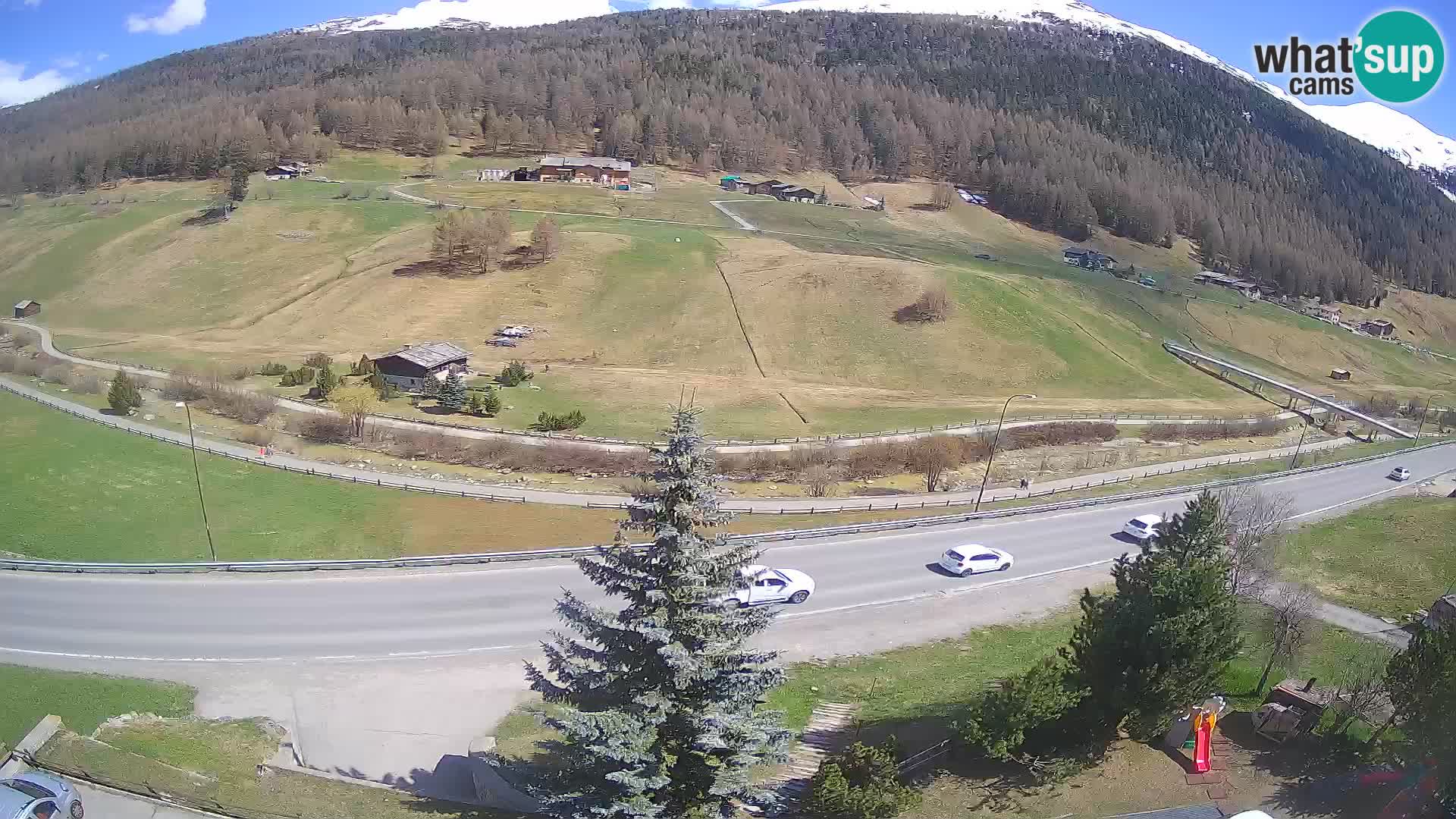 Livigno Cam Hotel Primula | Livigno smučišče
