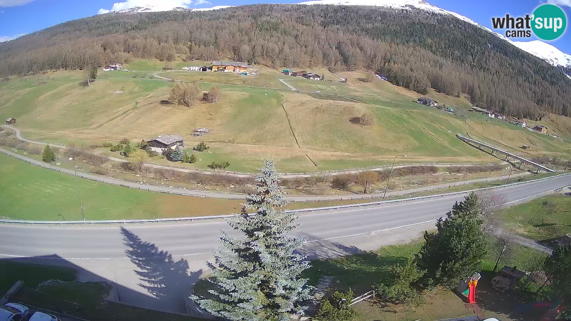 Web Cam Livigno | Hotel Primula