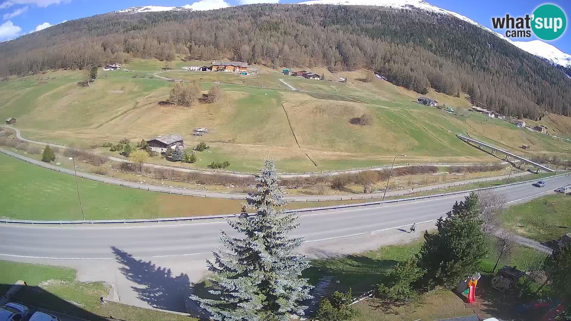 Camera Livigno Hotel Primula | ESQUIAR