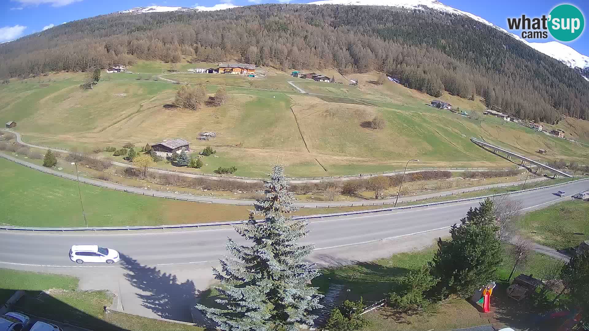 Camera Livigno Hotel Primula | ESQUIAR