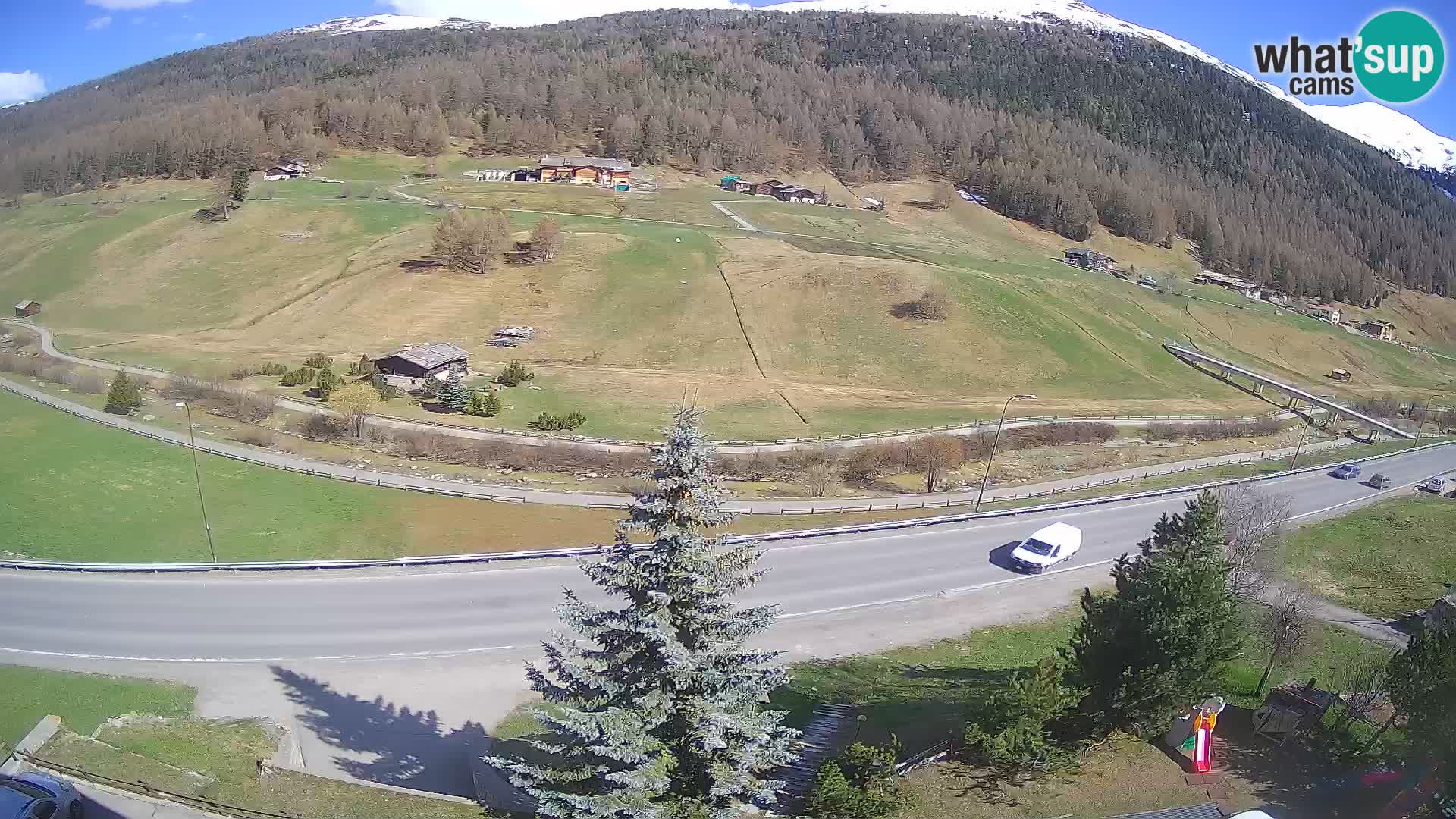 Web Cam Livigno | Hotel Primula