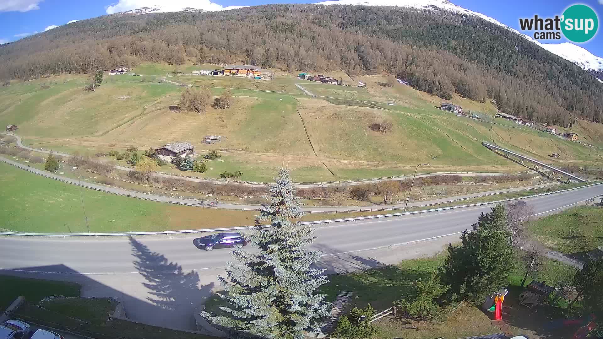 Livigno web kamera Hotel Primula