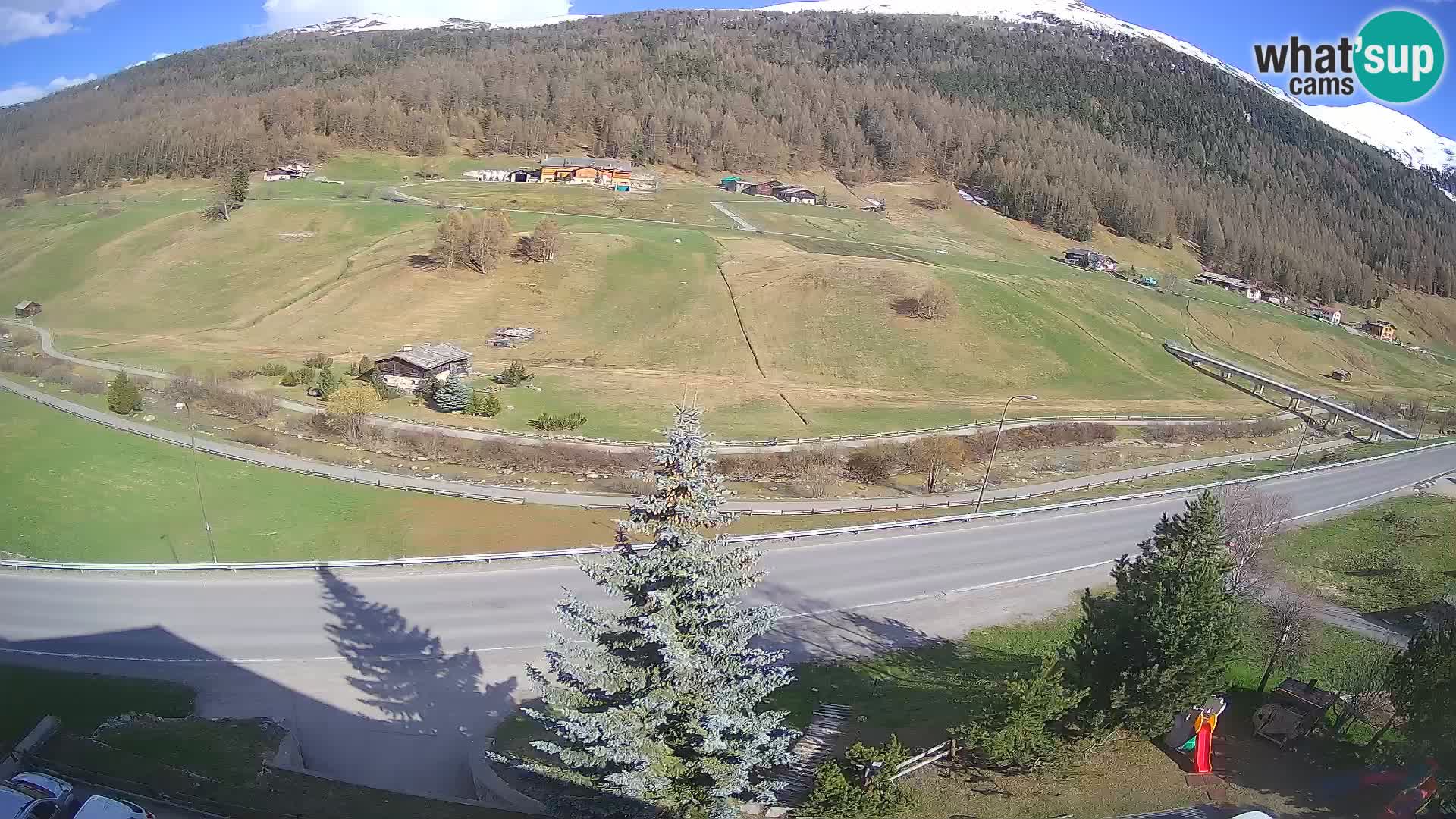 Webcam Livigno Hotel Primula