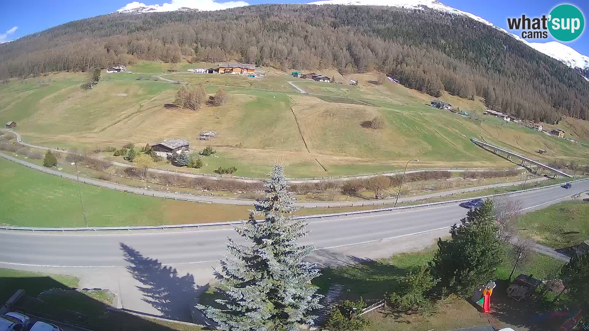 Camera Livigno Hotel Primula | ESQUIAR