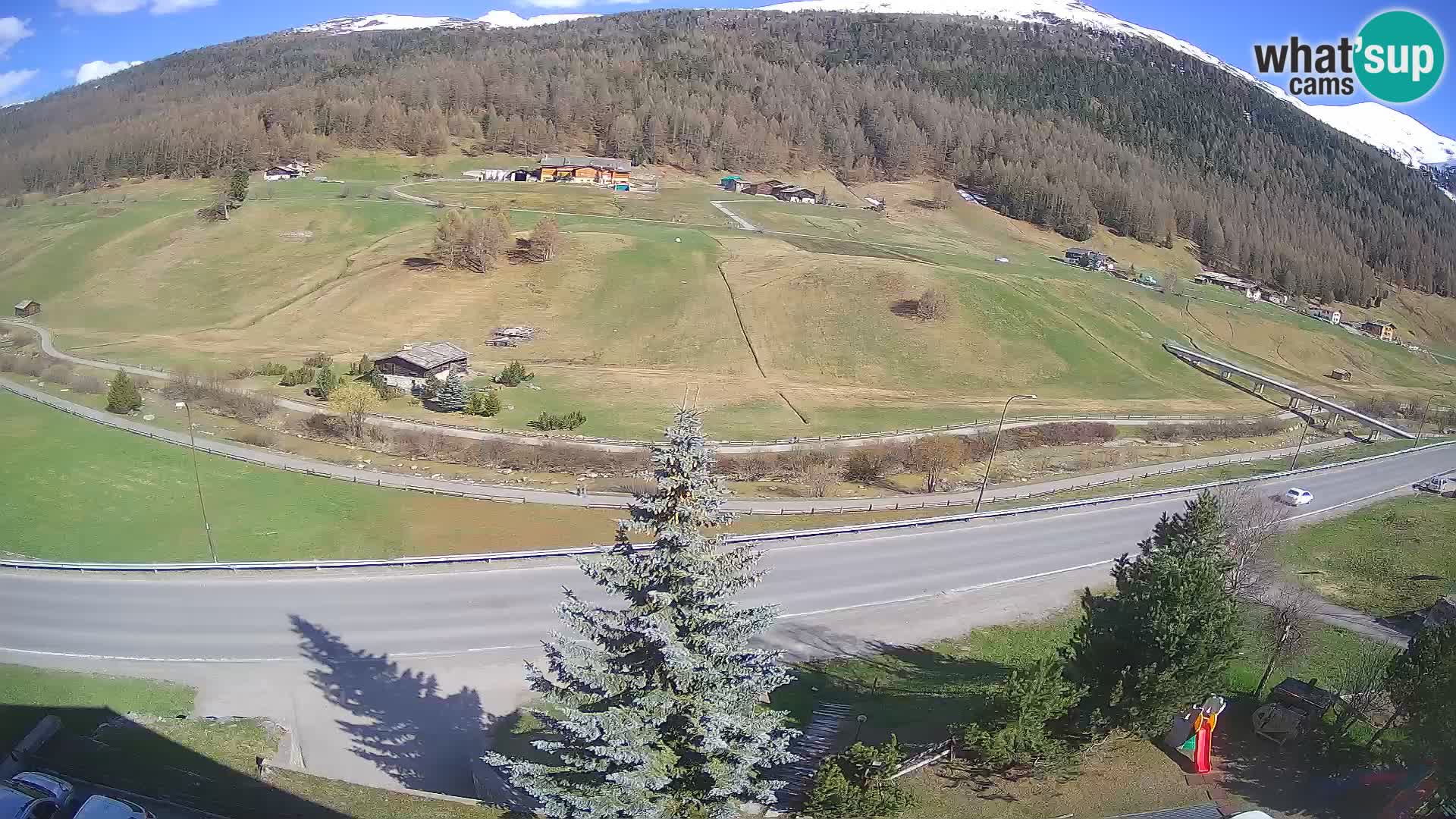 Webcam Livigno Hotel Primula