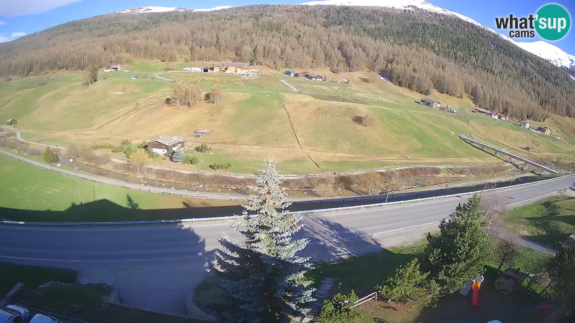 Web Cam Livigno | Hotel Primula