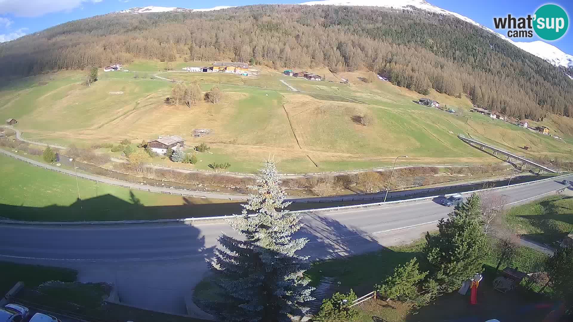 Livigno Cam Hotel Primula | Livigno smučišče