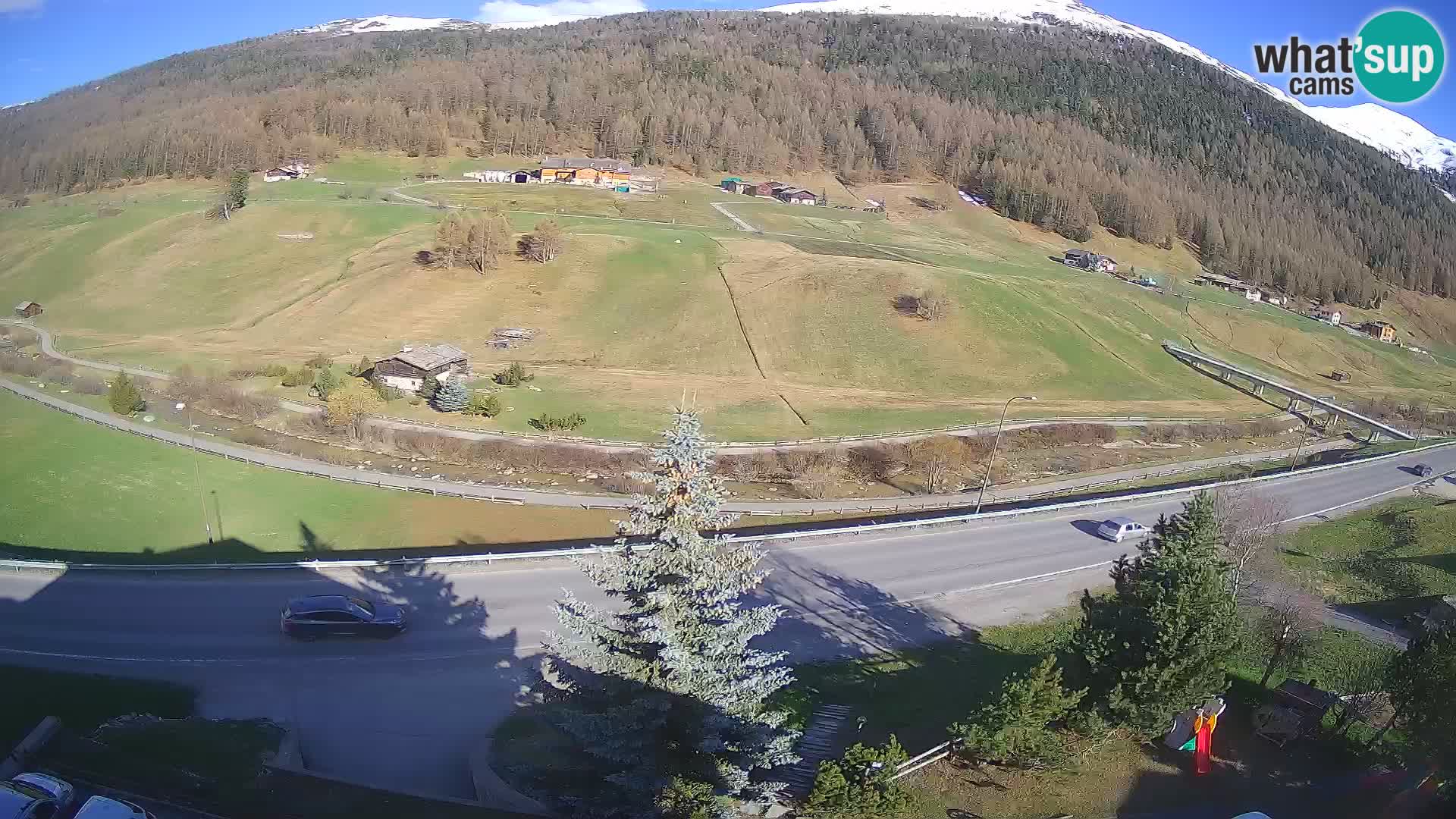 Camera Livigno Hotel Primula | ESQUIAR