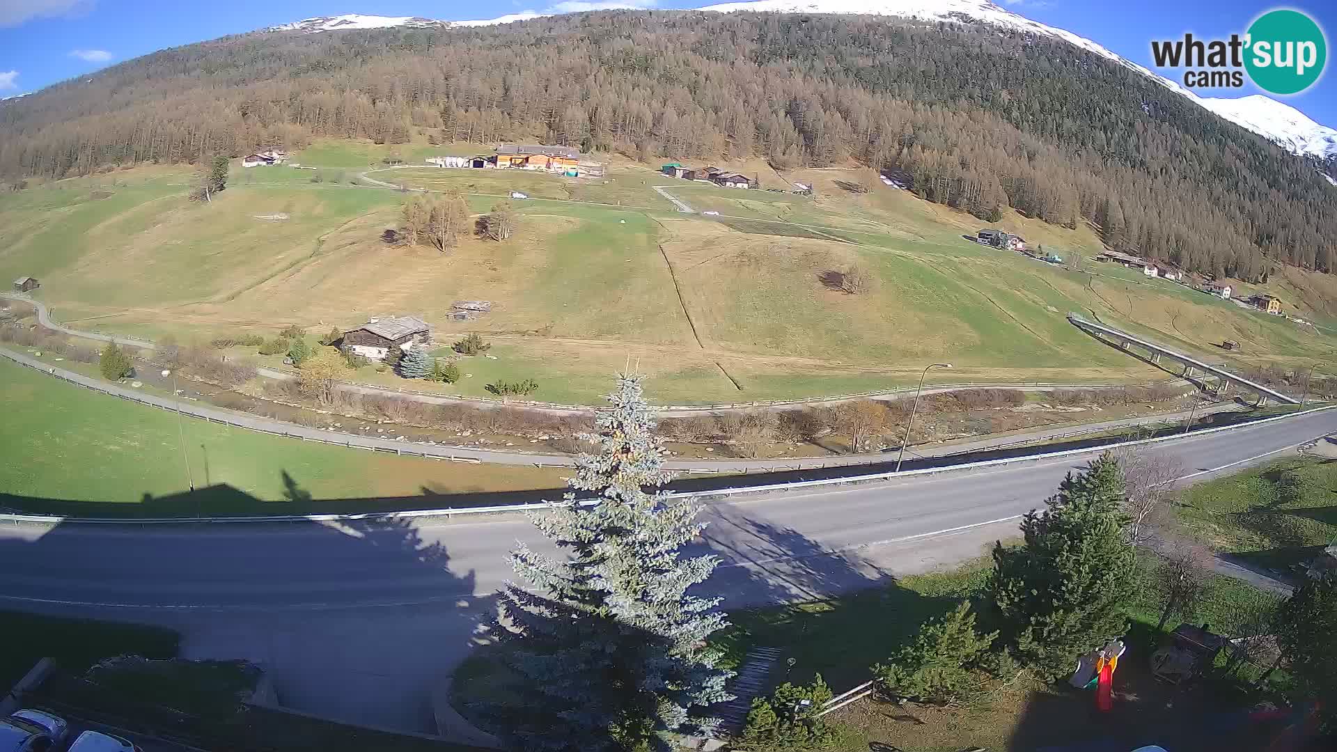 Camera Livigno Hotel Primula | ESQUIAR