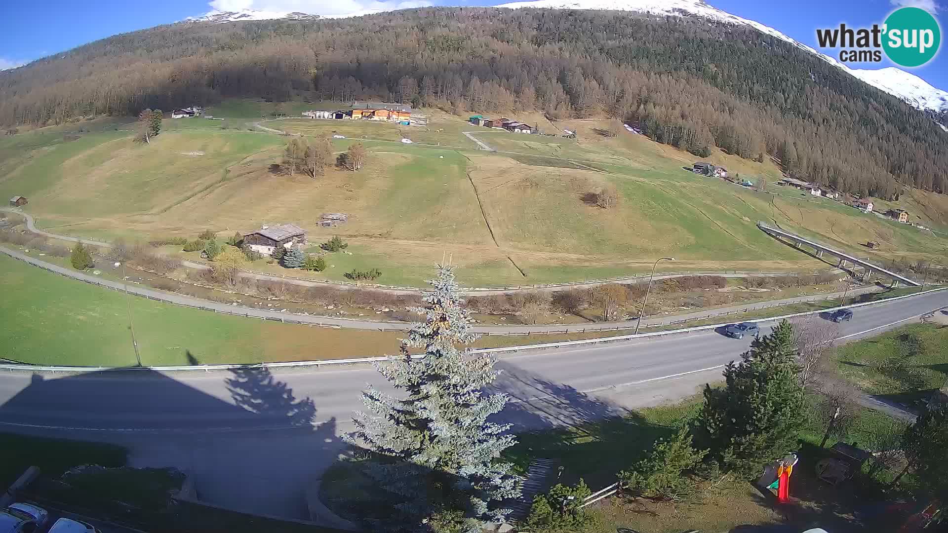 Livigno web kamera Hotel Primula