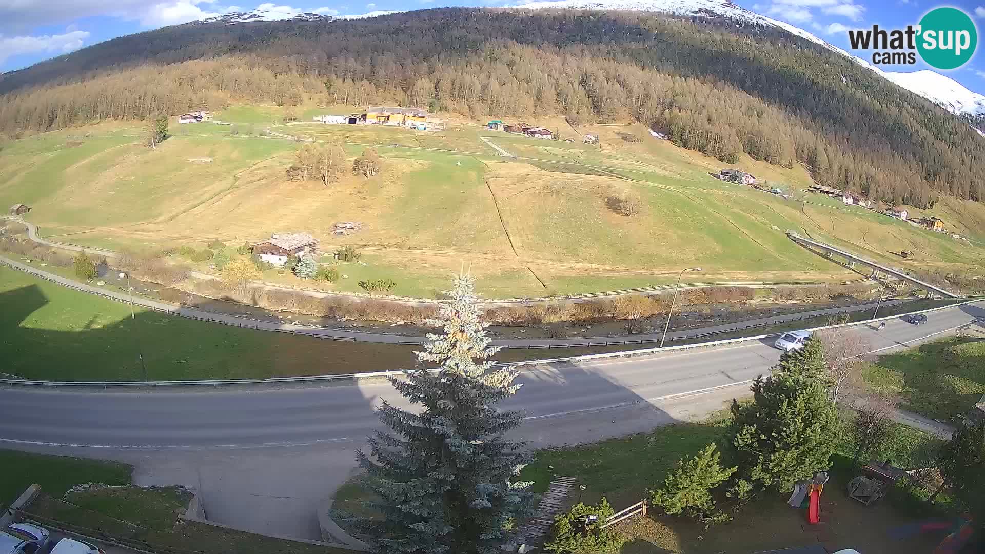 Livigno web kamera Hotel Primula