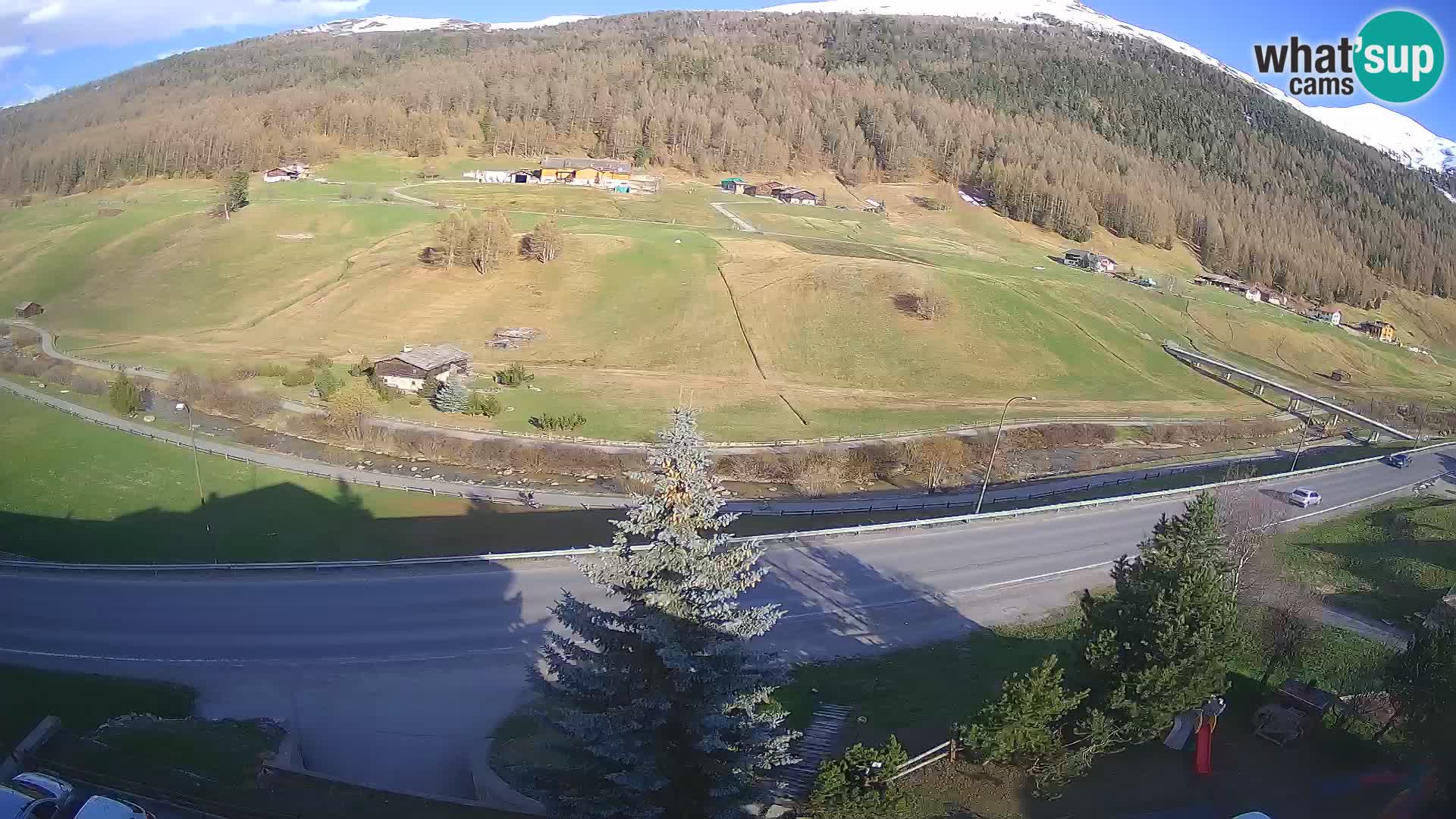 Livigno web kamera Hotel Primula