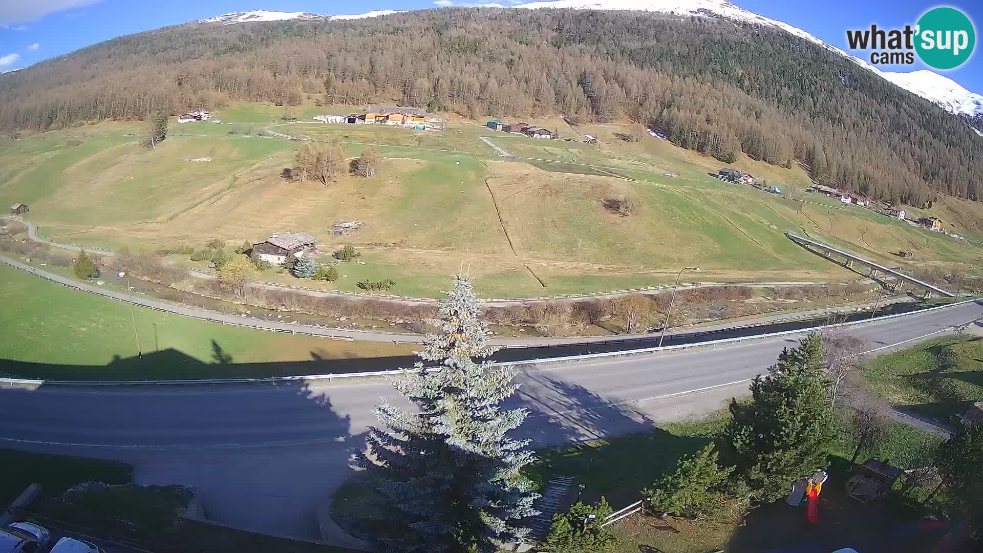 Webcam Livigno Hotel Primula