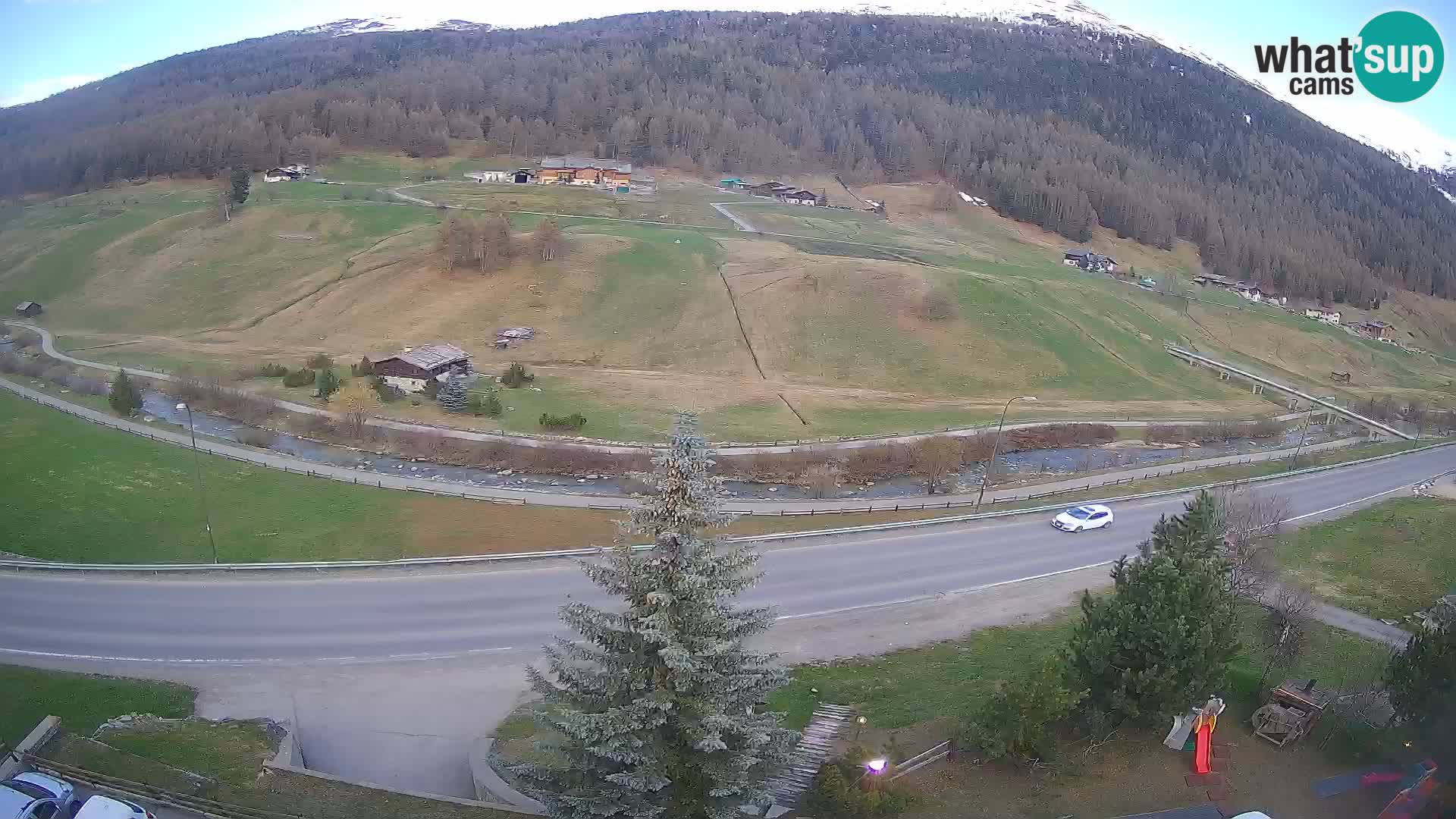 Webcam Livigno Hotel Primula