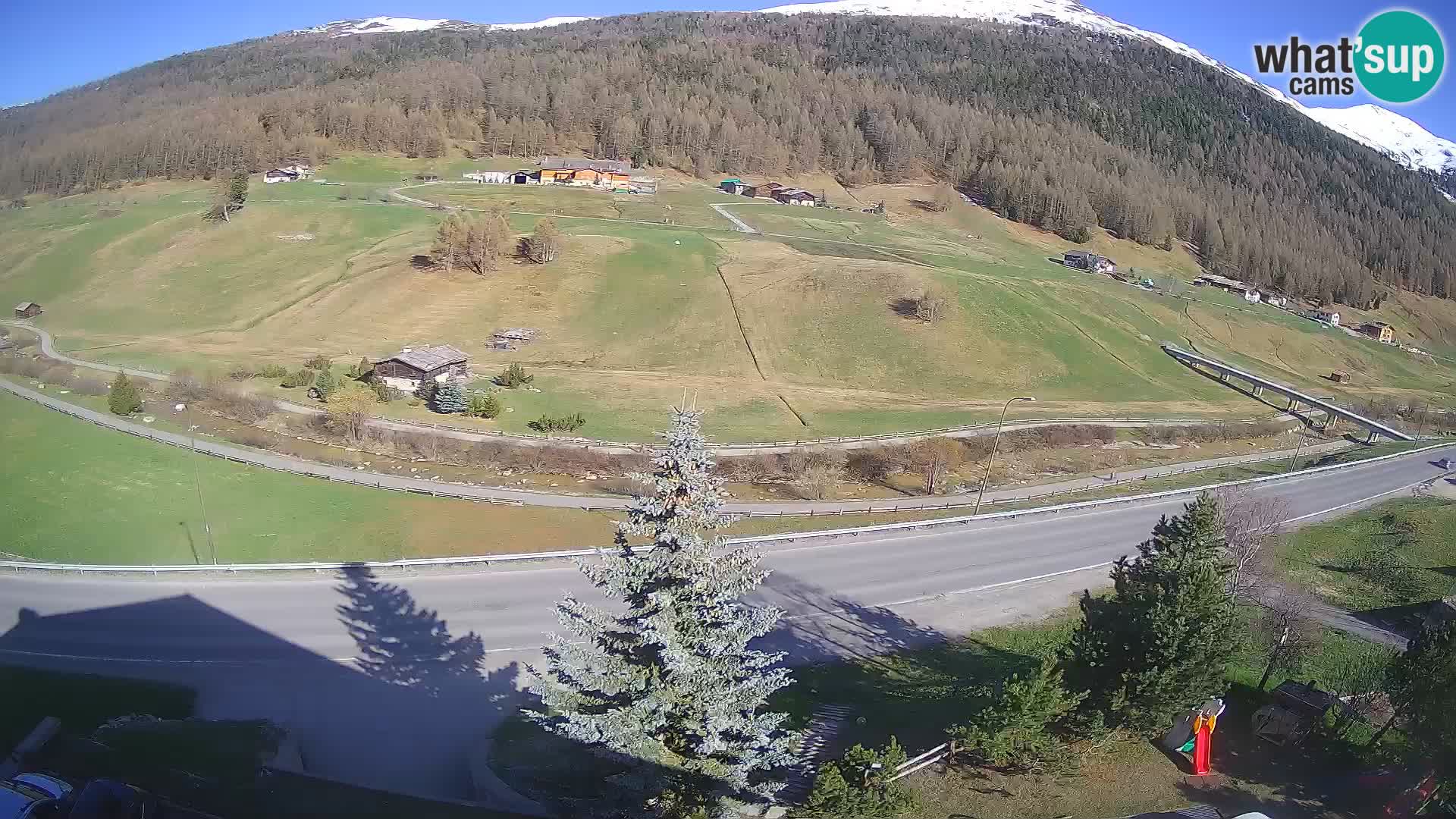 Livigno webcam LIVE Hotel Primula