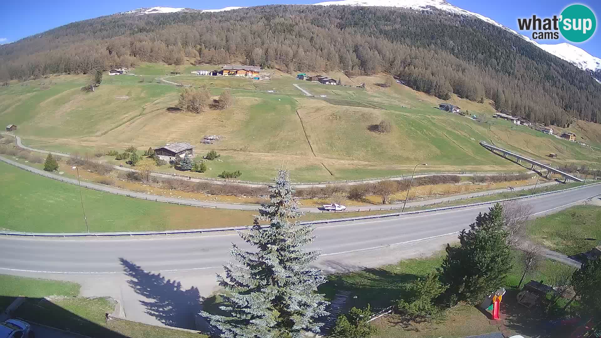 Livigno webcam LIVE Hotel Primula
