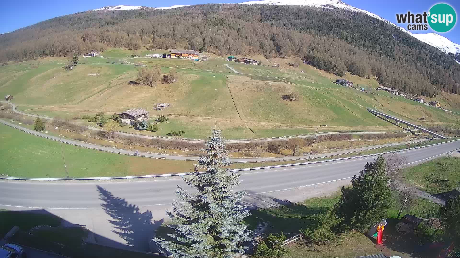 Livigno webcam LIVE Hotel Primula
