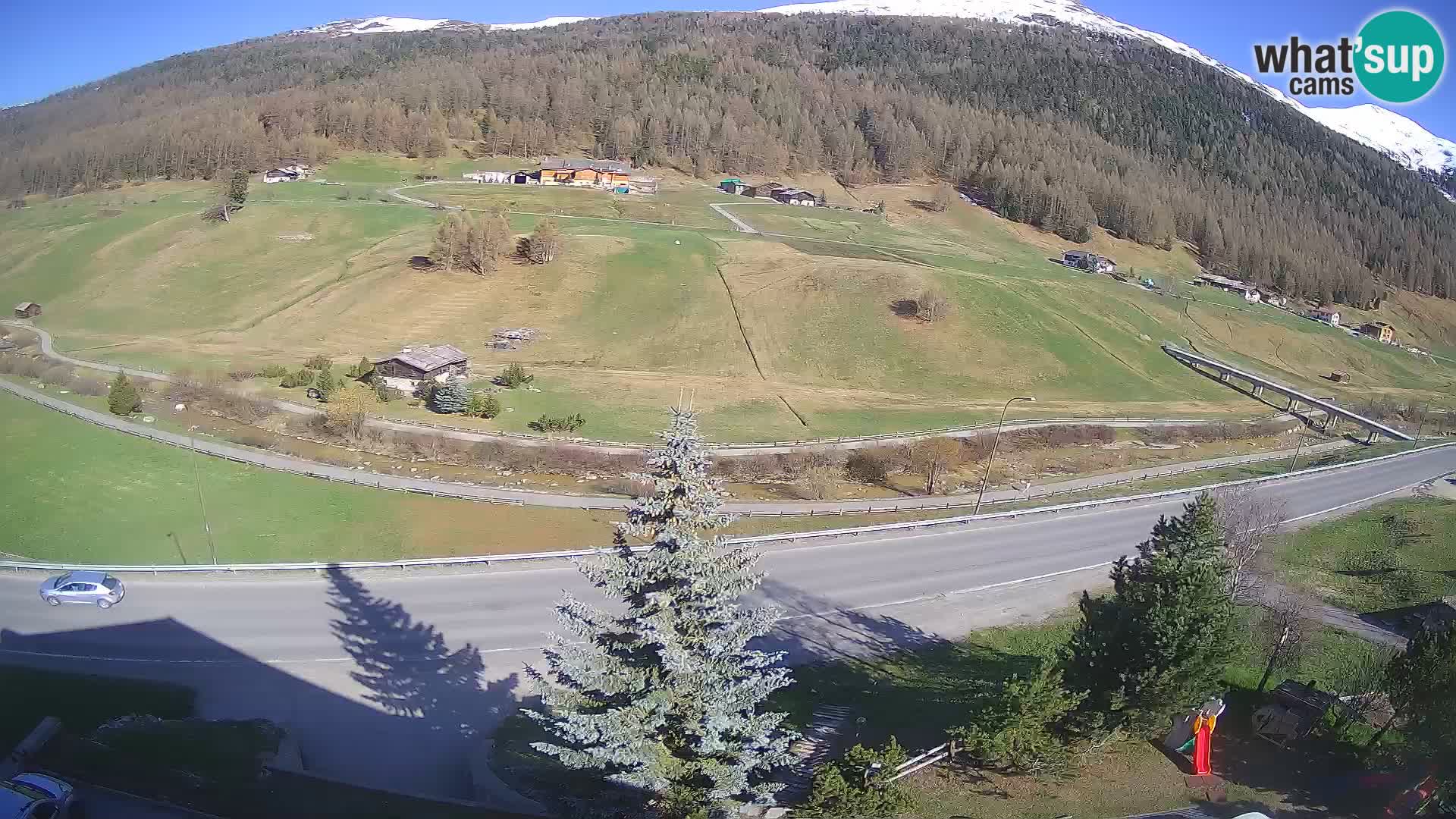 Livigno webcam LIVE Hotel Primula