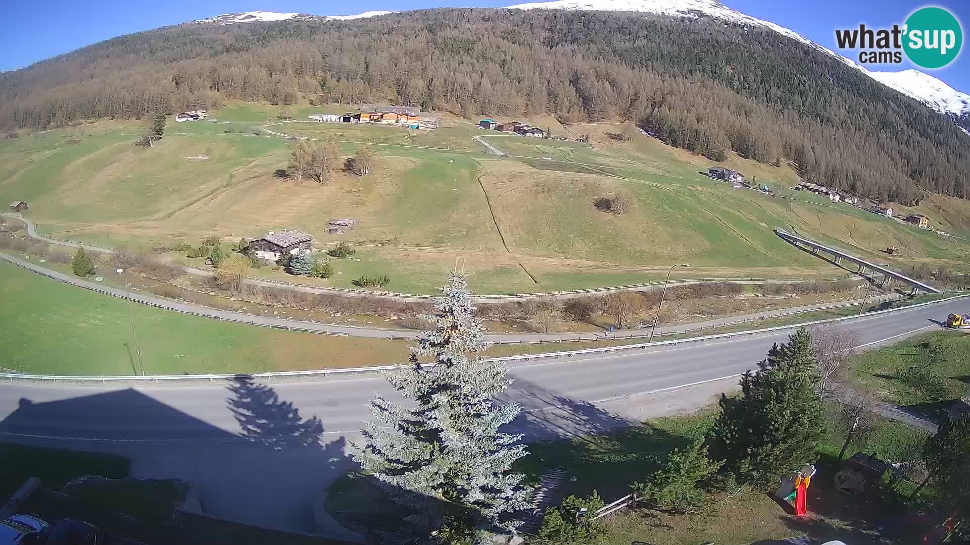 Livigno Cam Hotel Primula | Livigno smučišče
