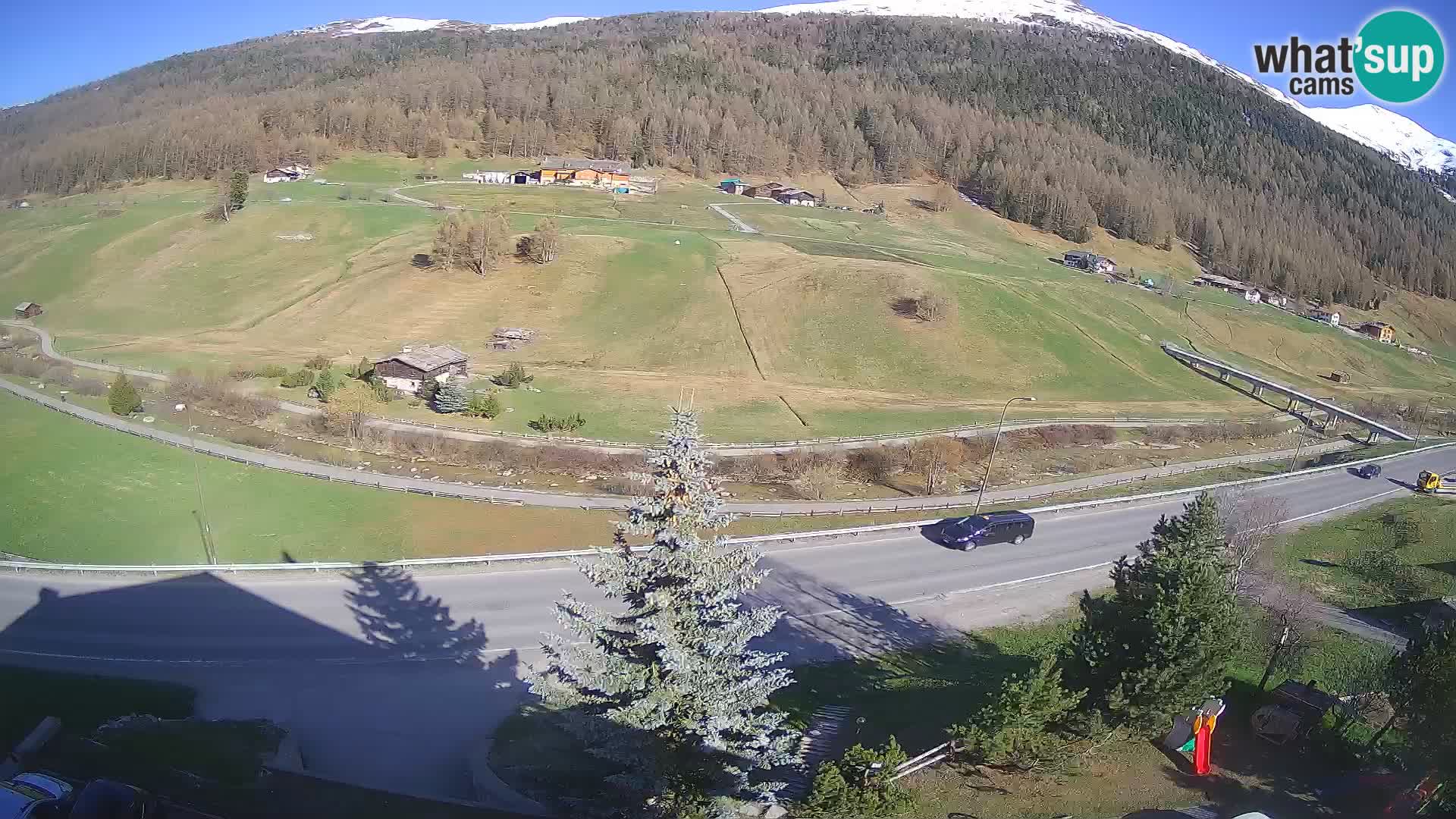 Web Cam Livigno | Hotel Primula