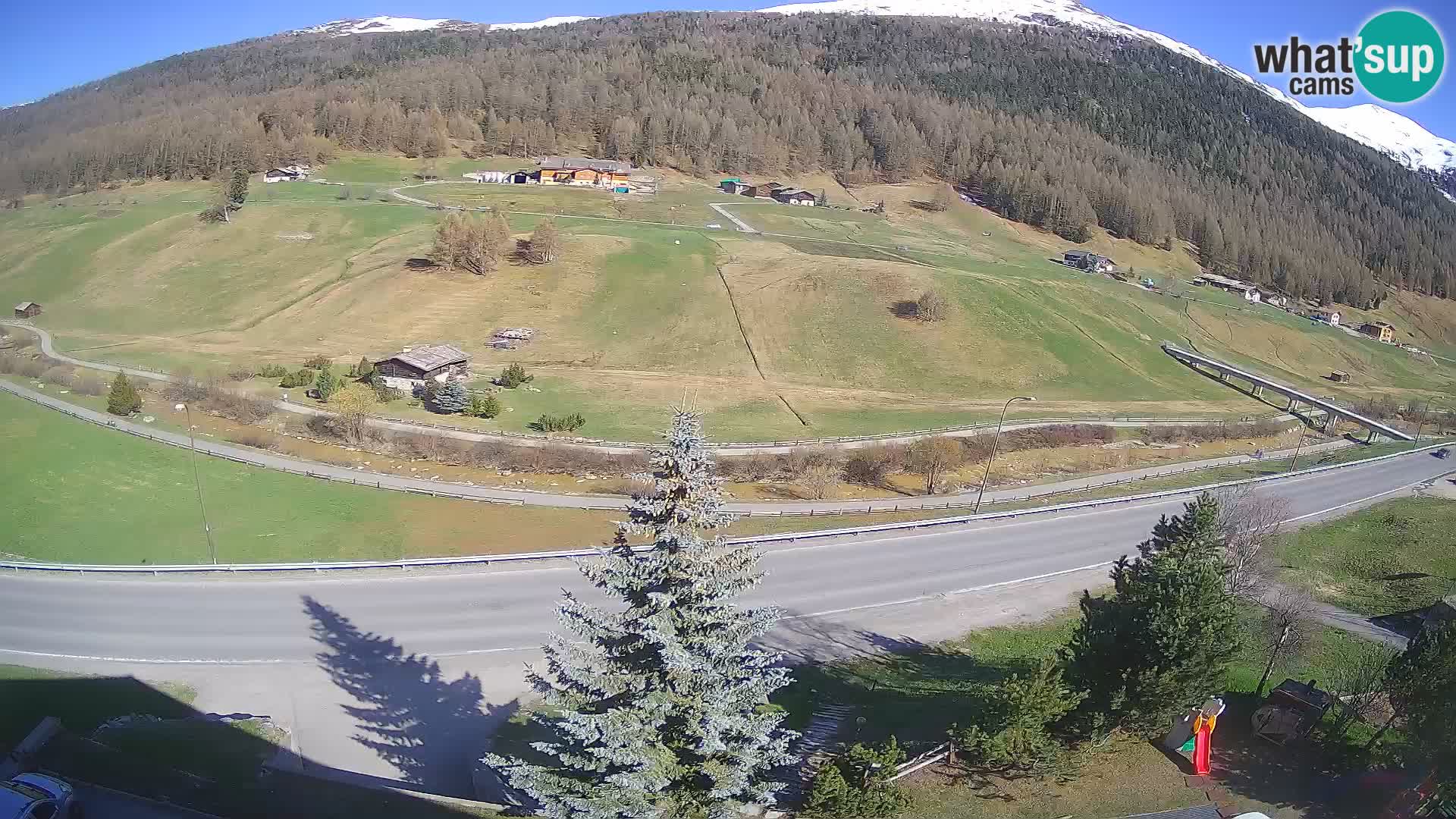 Livigno Cam Hotel Primula | Livigno smučišče
