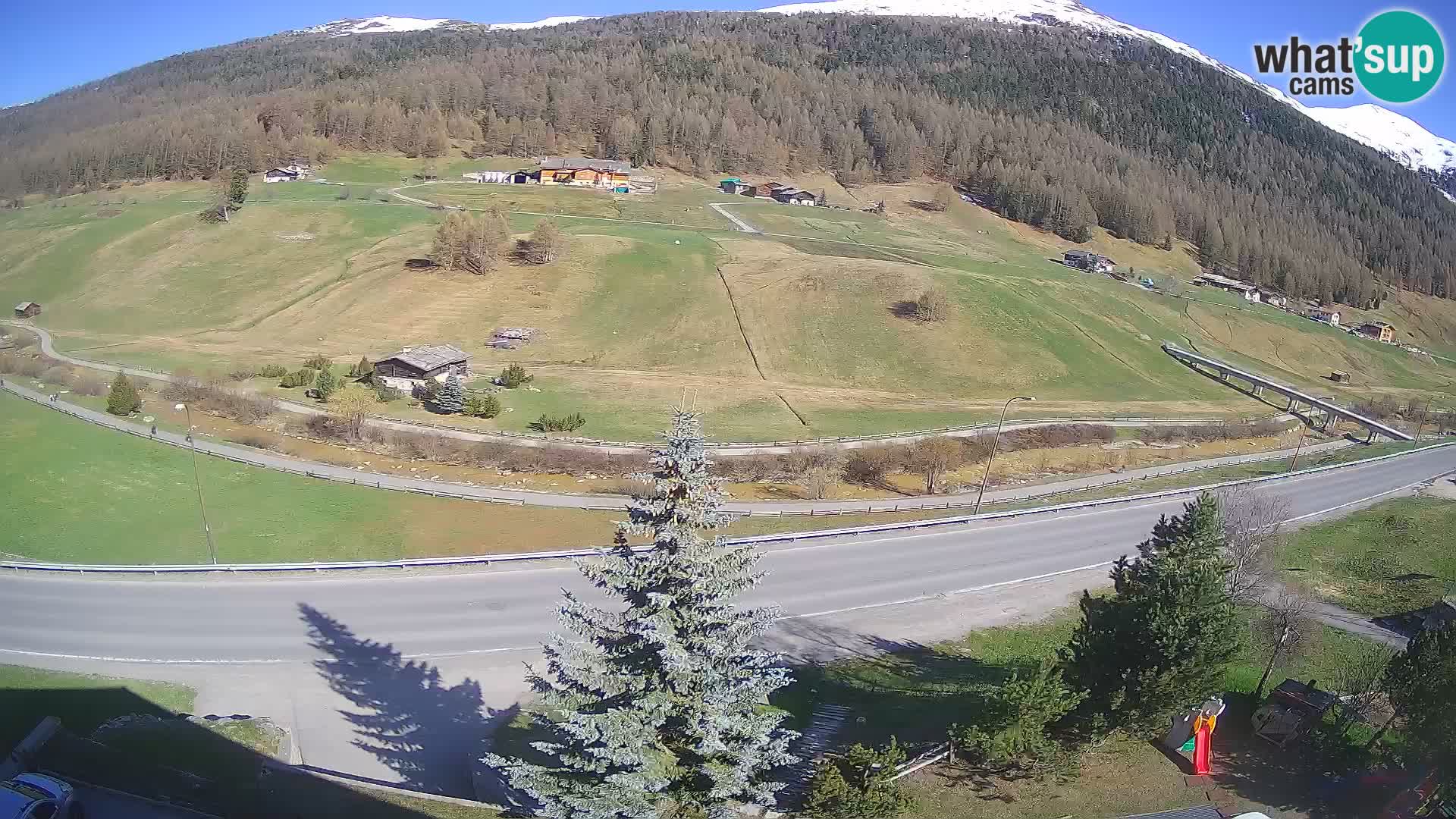 Livigno web kamera Hotel Primula