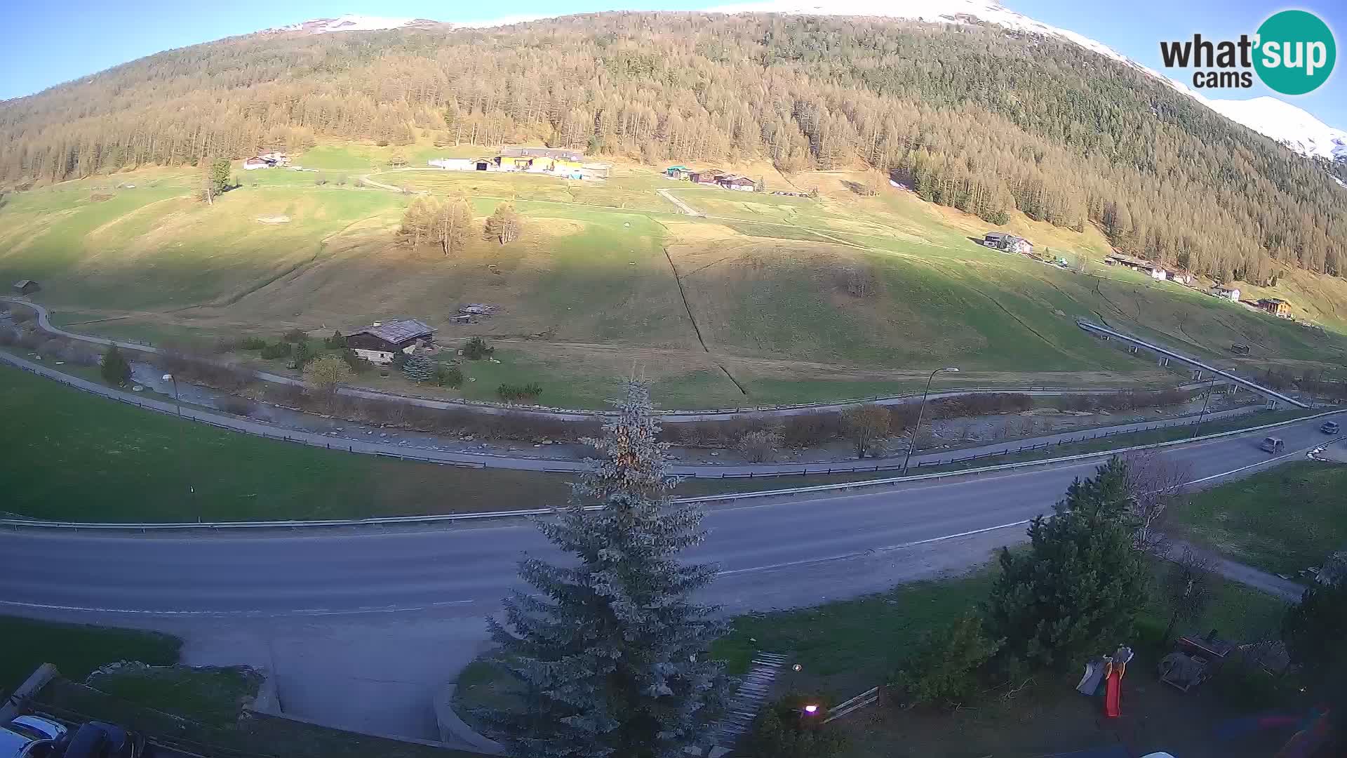 Livigno webcam LIVE Hotel Primula