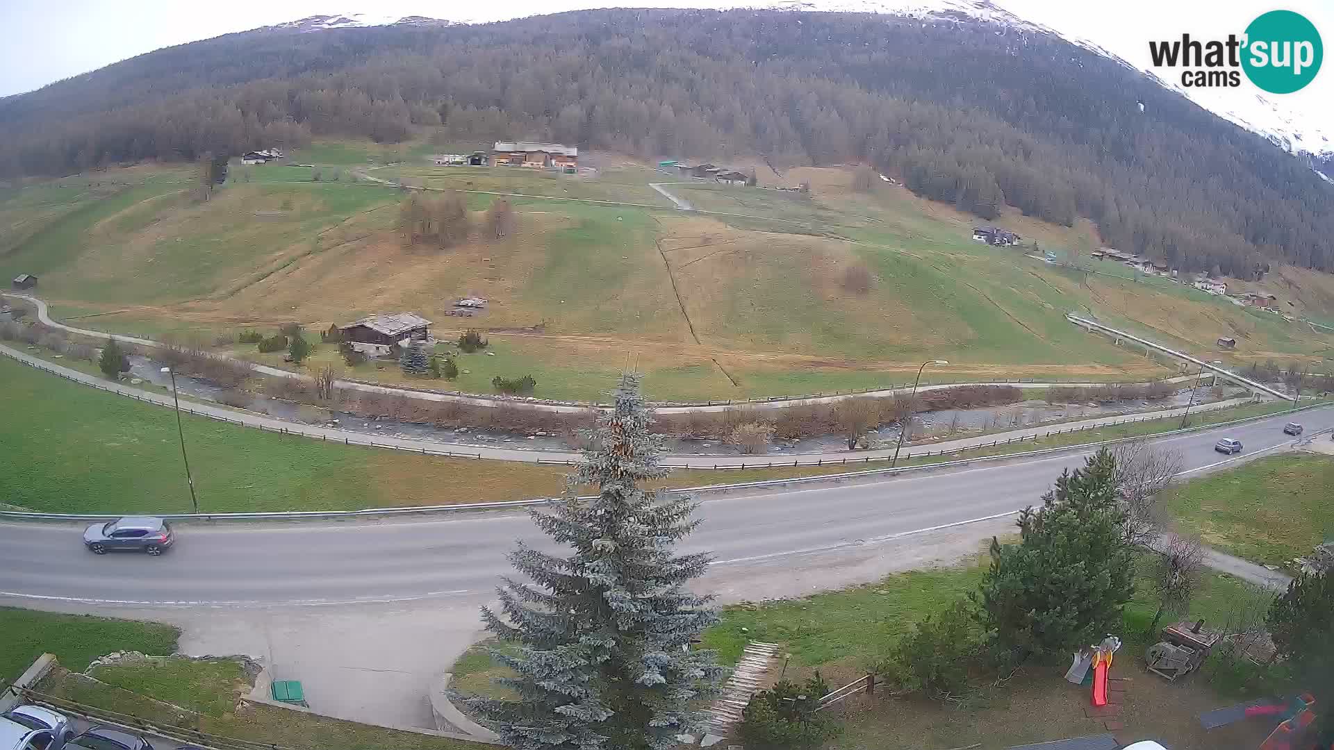 Livigno Cam Hotel Primula | Livigno smučišče