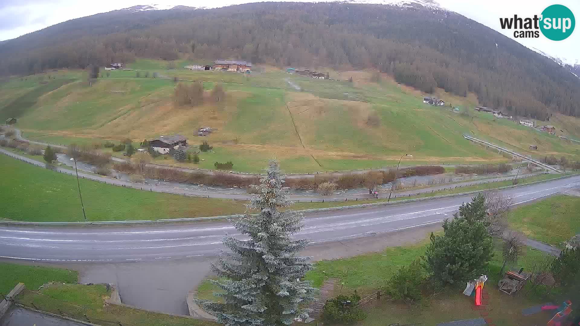 Webcam Livigno Hotel Primula
