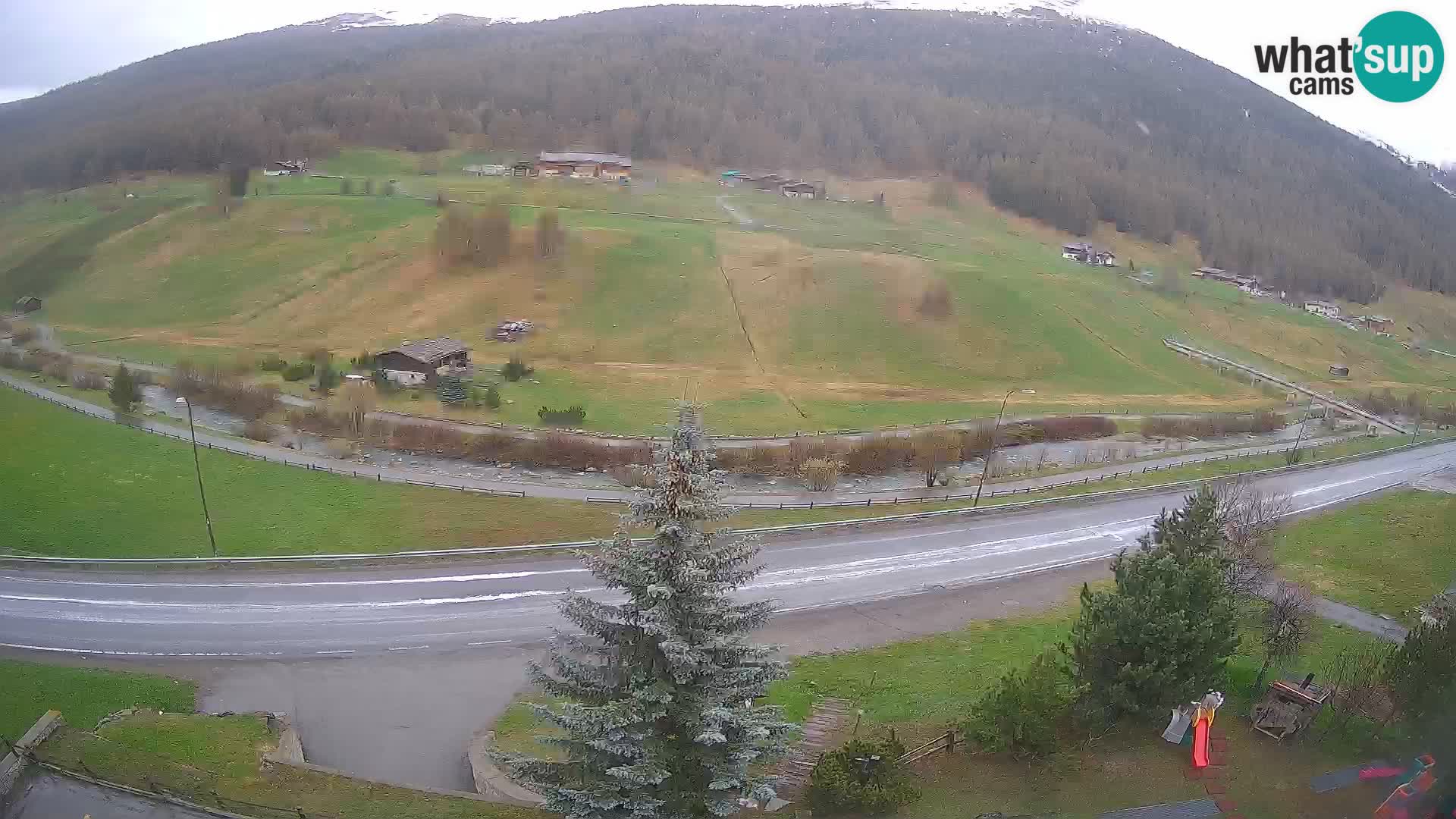 Livigno webcam LIVE Hotel Primula