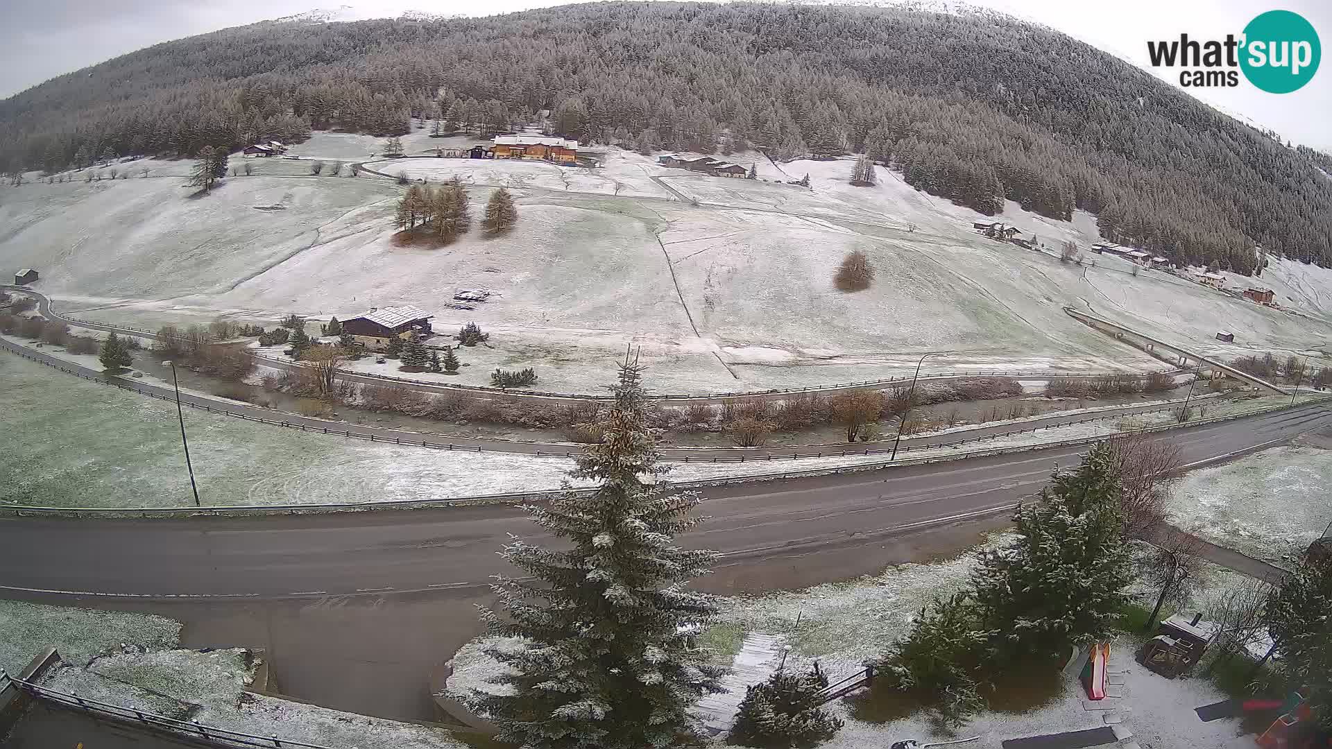 Livigno Cam Hotel Primula | Livigno smučišče