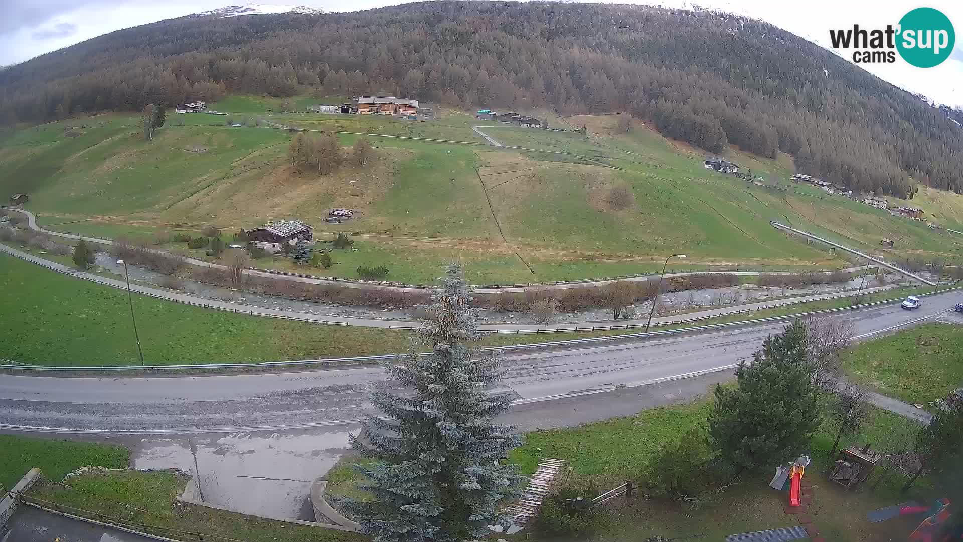 Livigno Cam Hotel Primula | Livigno smučišče