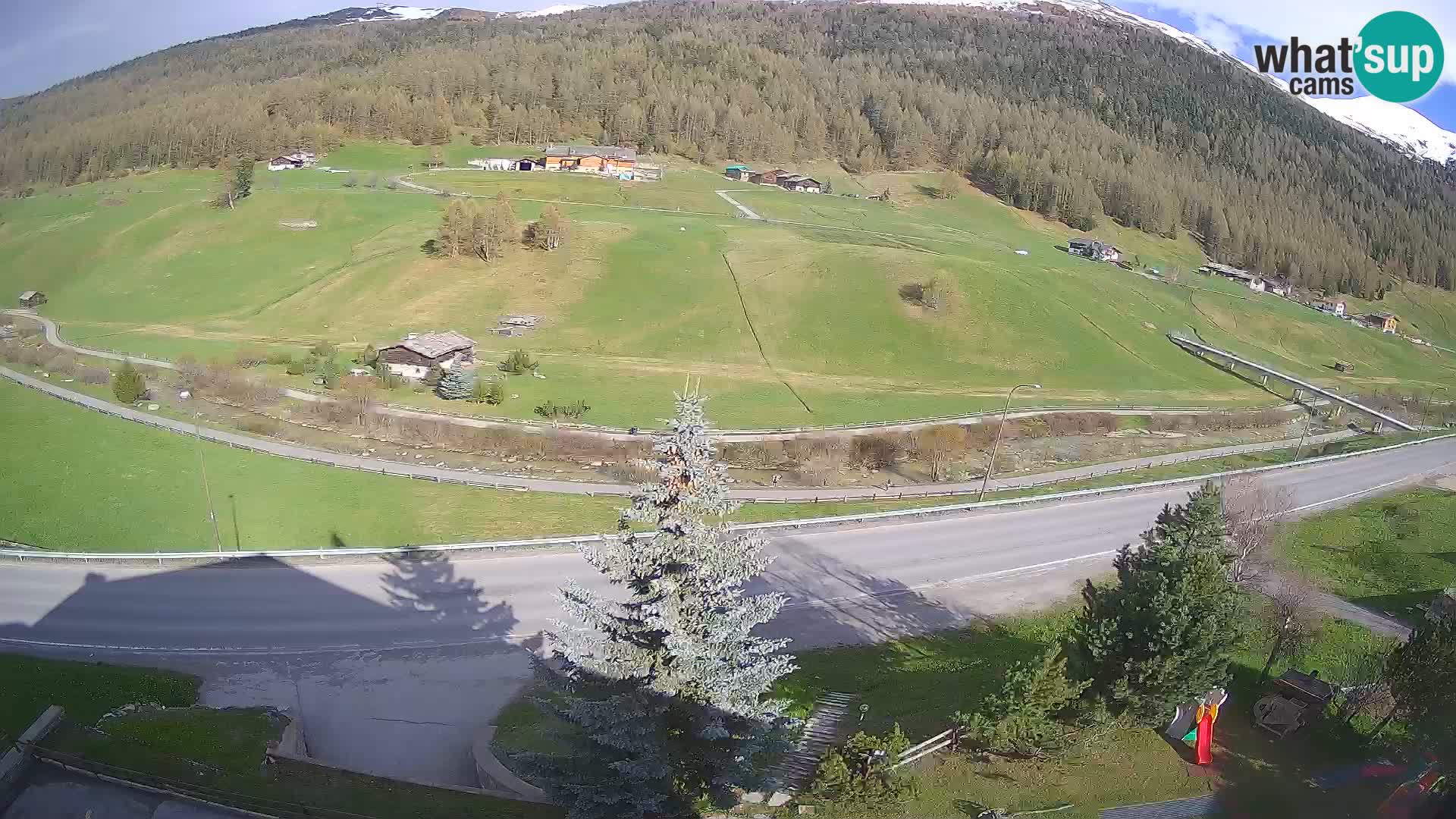 Livigno Cam Hotel Primula | Livigno smučišče