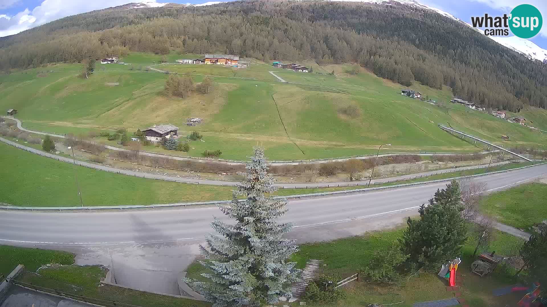 Livigno Cam Hotel Primula | Livigno smučišče