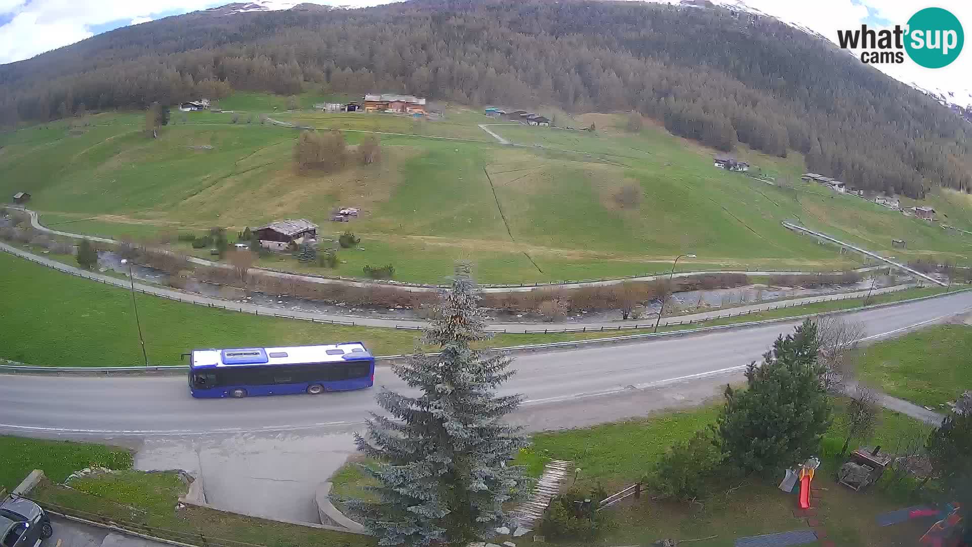 Livigno Cam Hotel Primula | Livigno smučišče